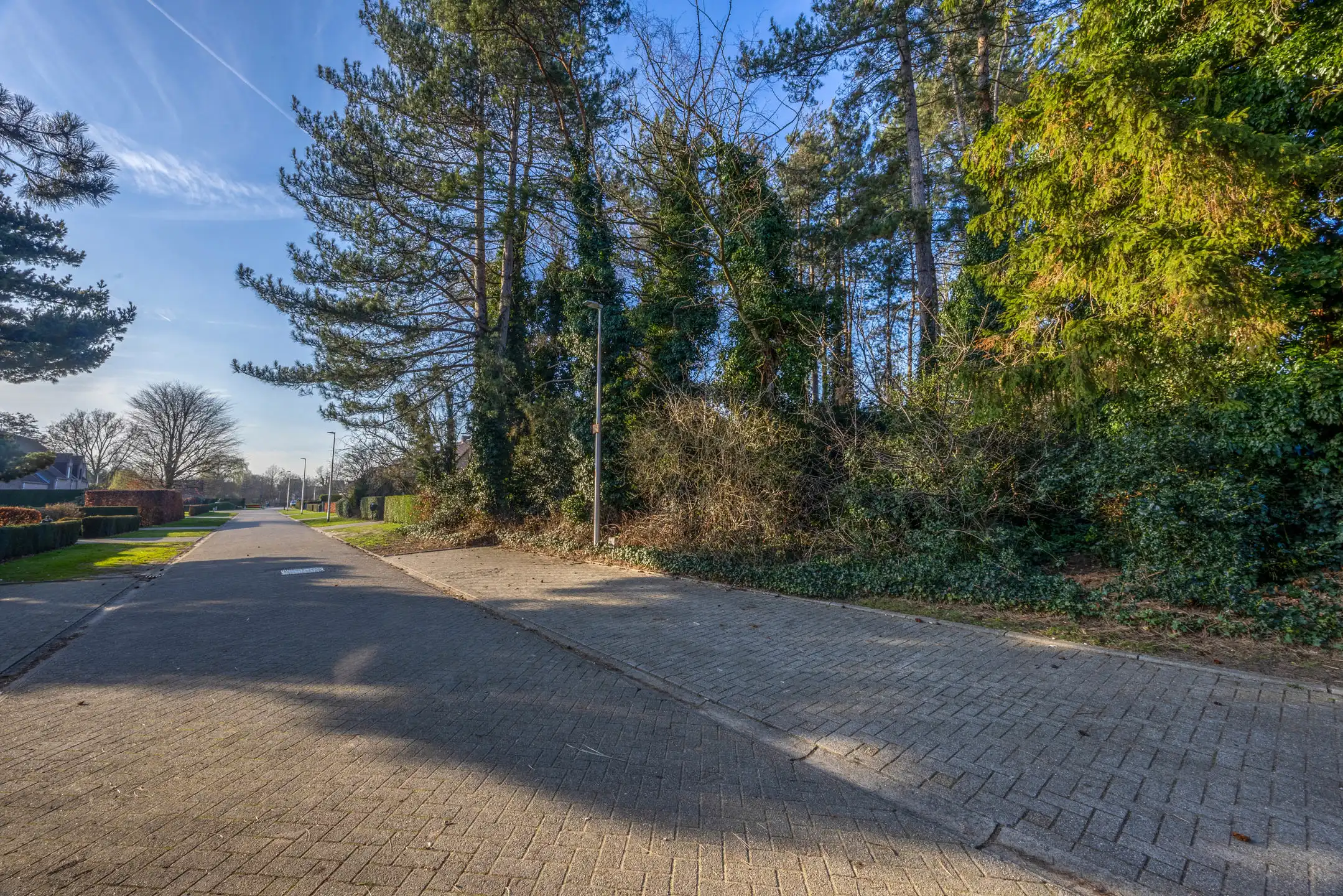 Prachtige bouwgrond van 735m² in een doodlopende straat.  foto 9