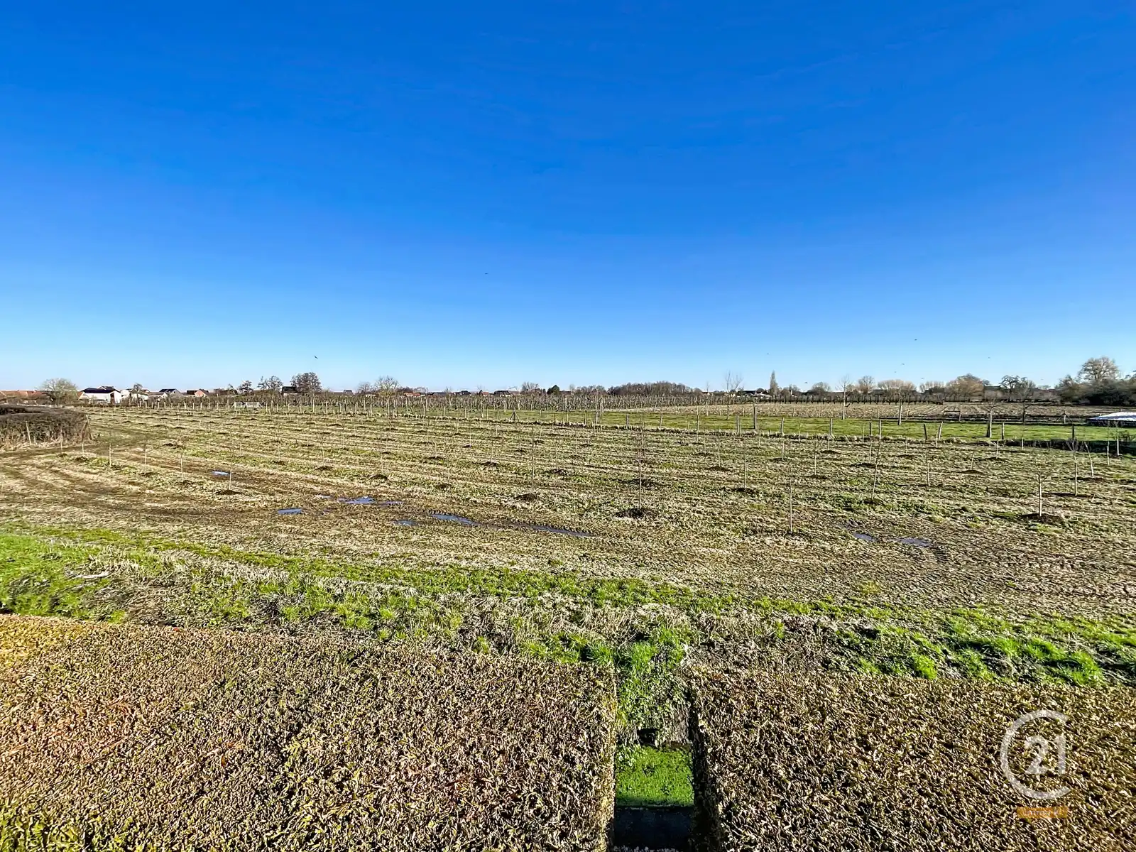 Degelijke, veelzijdige woning met ruime tuin van 13a  foto 20