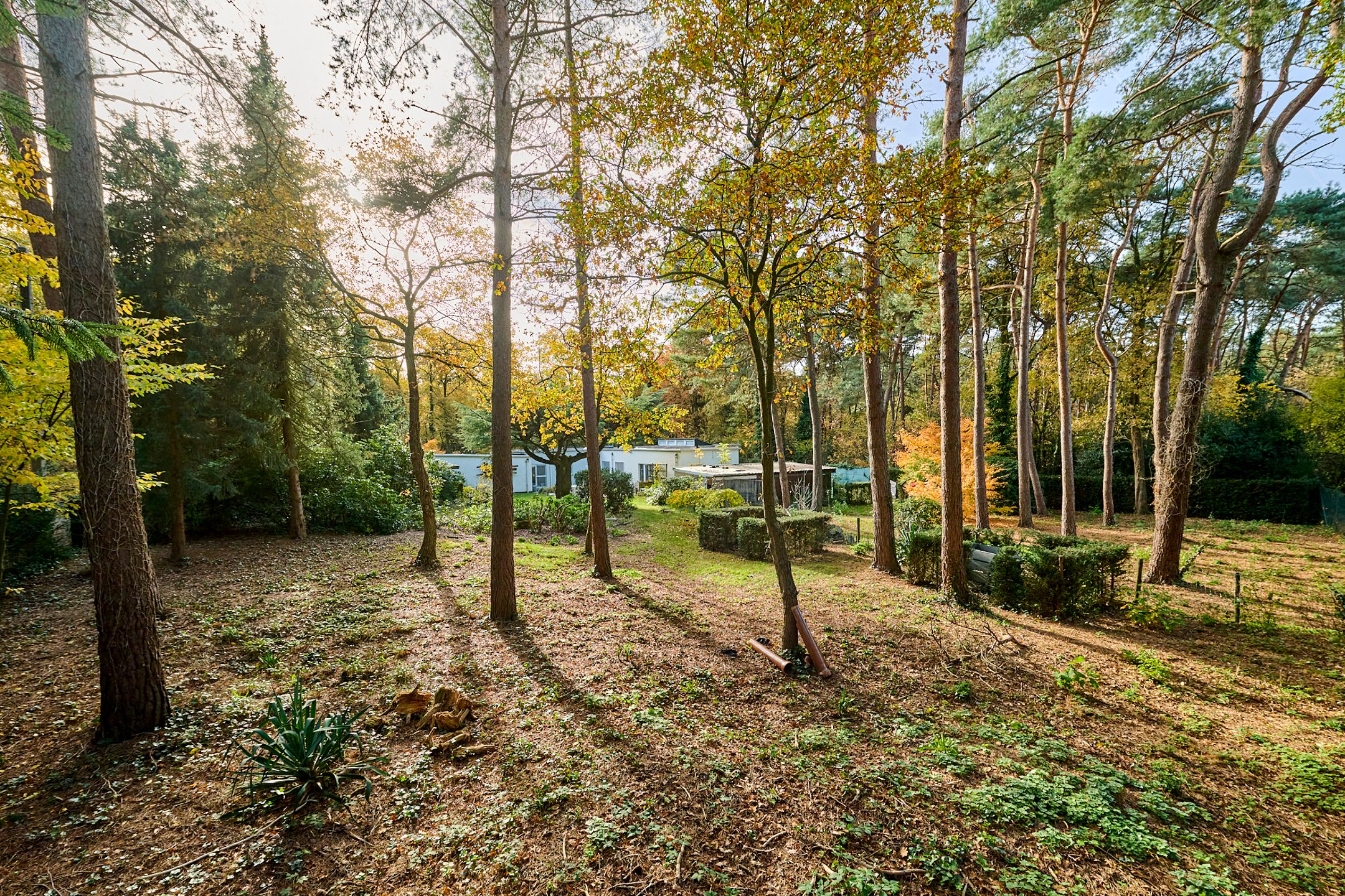 Verborgen villa op de Teut foto 21