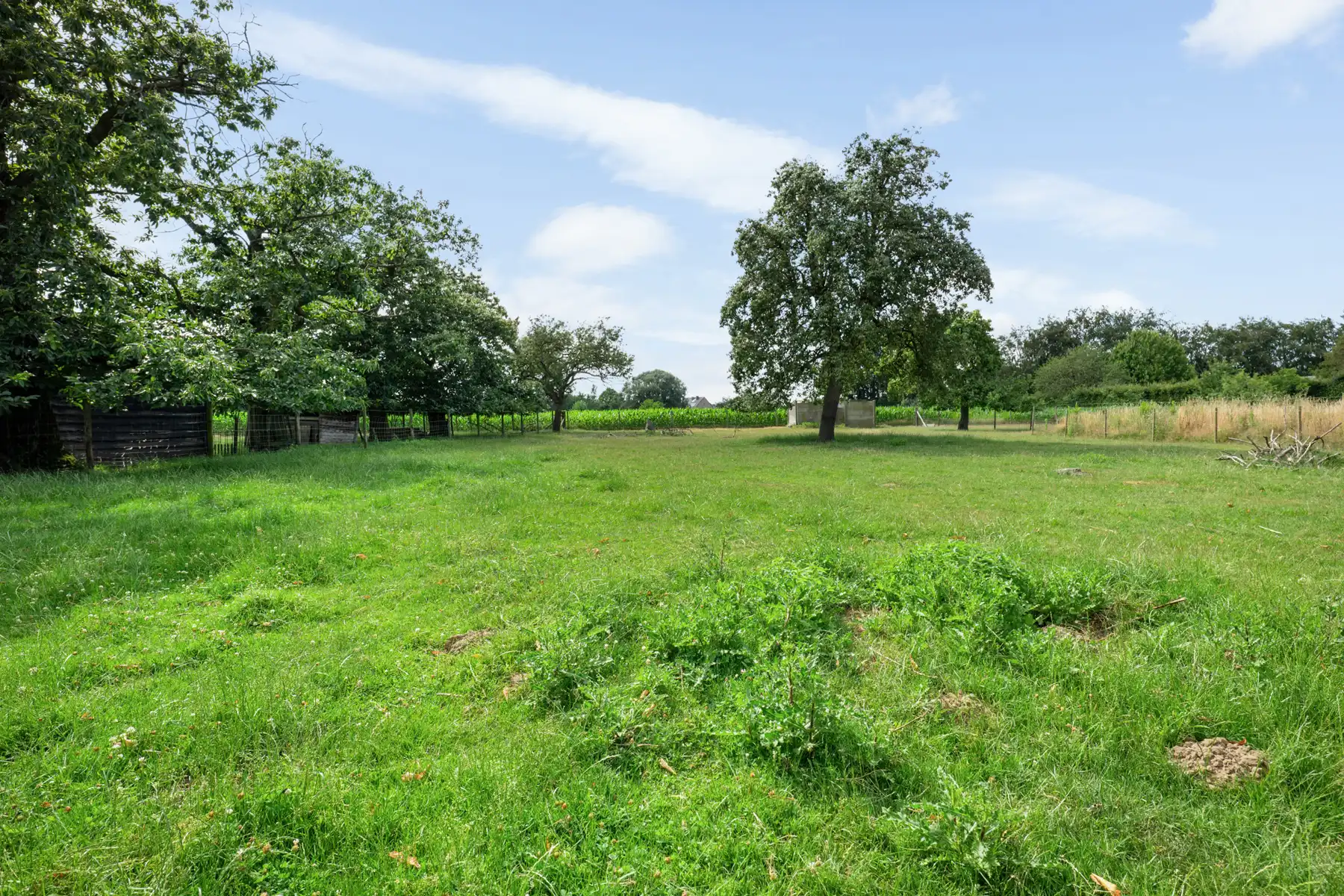 Unieke hoeve op 5.589 m² in Wommelgem. foto 27
