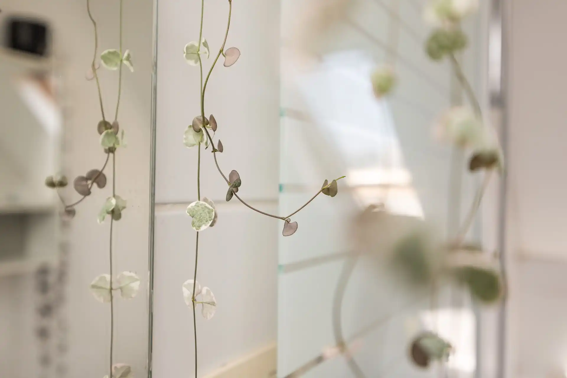 Ruime herenwoning  op Antwerpen-Zuid foto 19