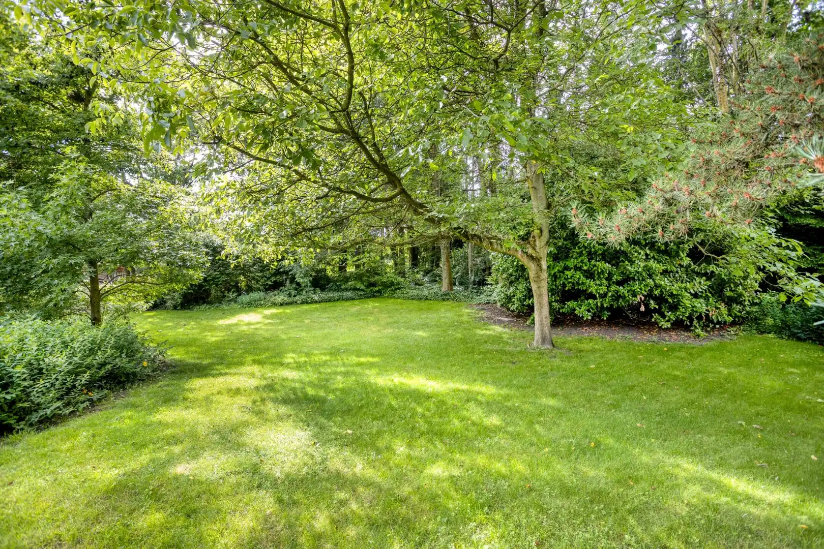 Instapklare villa met prachtige tuin op wandelafstand van het stadscentrum van Tongeren foto 28