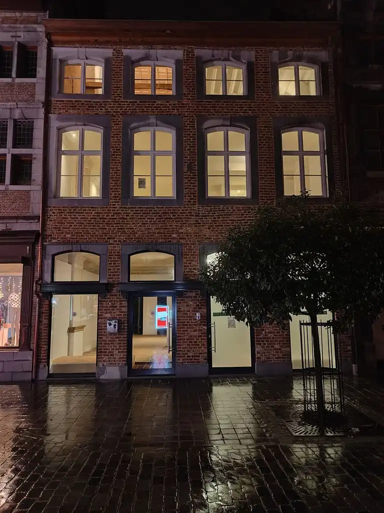Luxe duplex loft op de tweede verdieping met 2(+1) slaapkamers, ruim terras en optioneel een staanplaats, gelegen in het centrum van Maaseik. foto 15