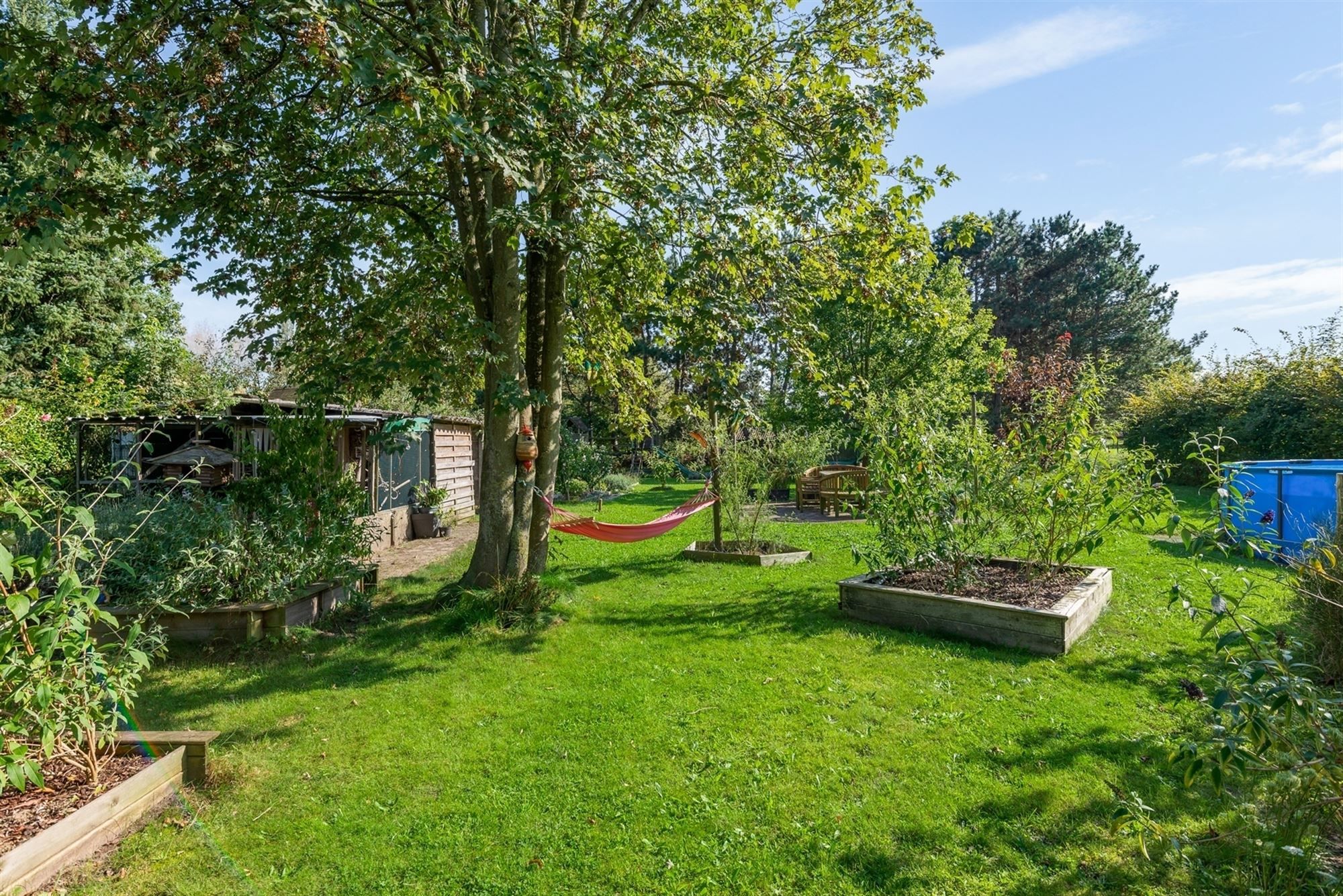 Grondig gemoderniseerde woning op een knap perceel te Putte foto 16