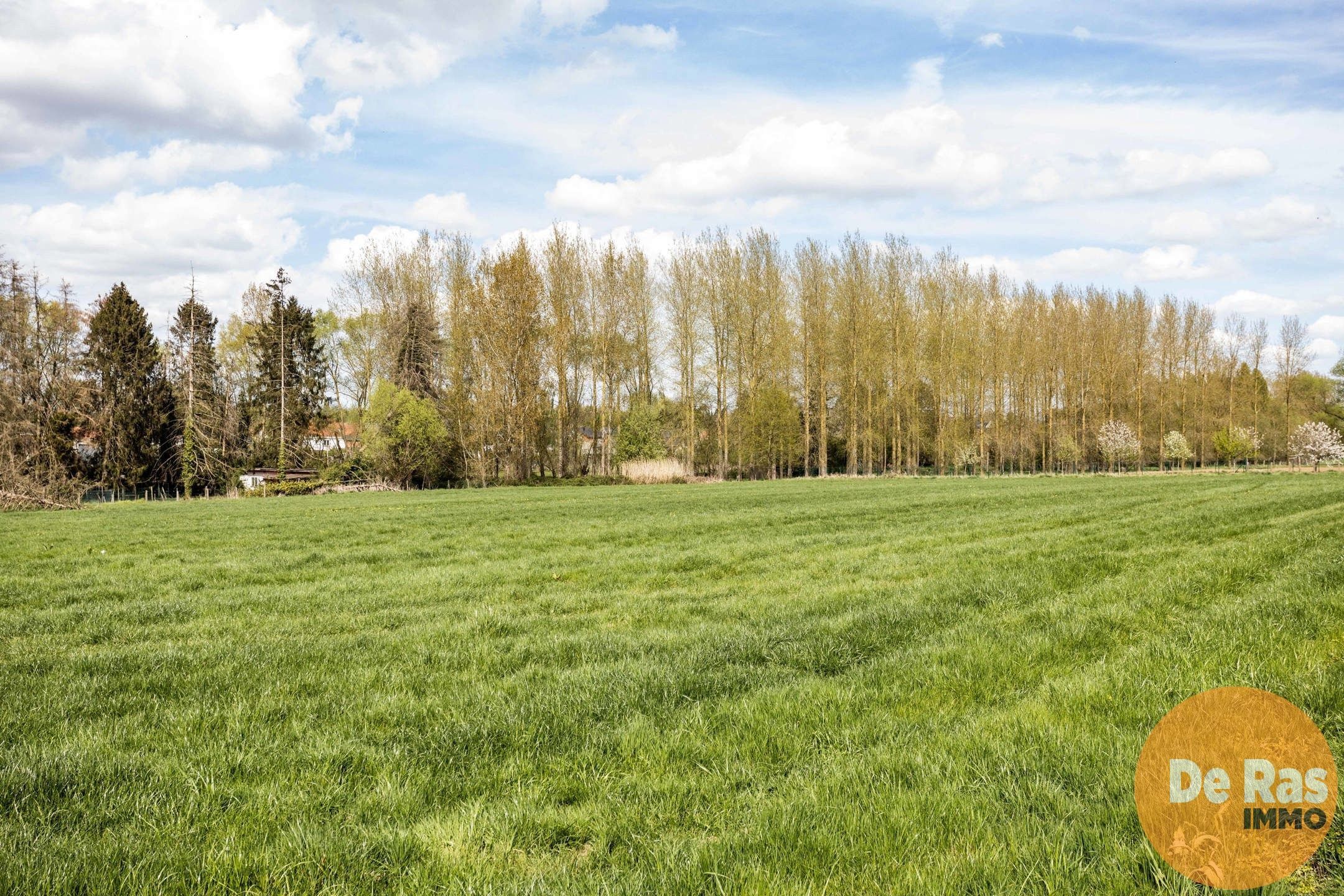 HERZELE - Recente gesloten bebouwing op een centrale ligging foto 25