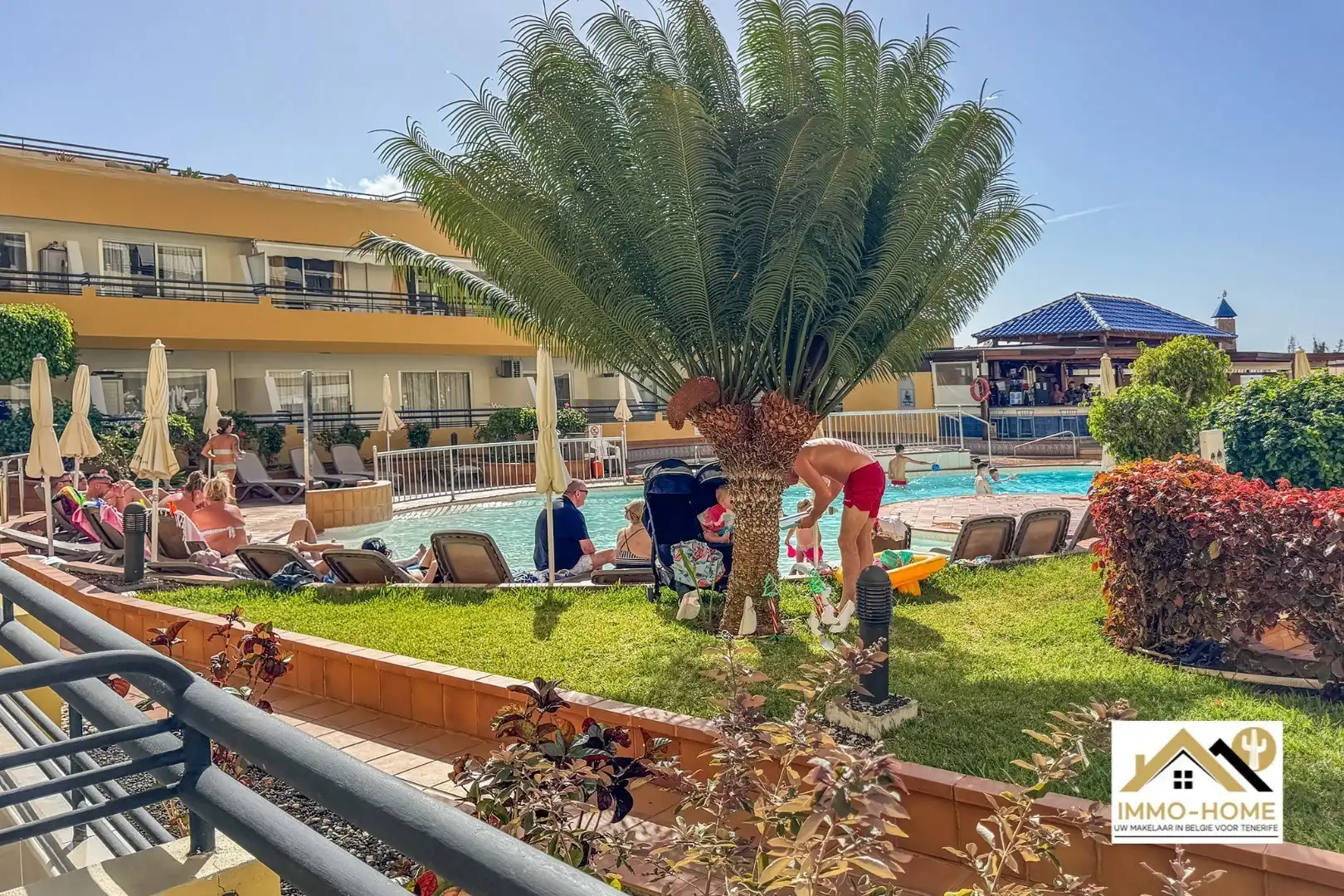 Zeer grote studio in Costa Adeje/Tenerife foto 12