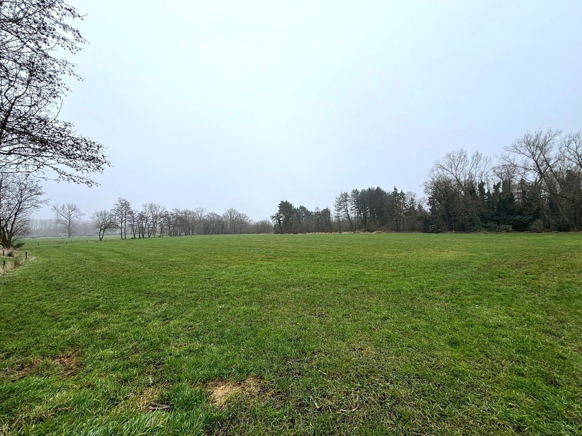 Landbouwgrond van 18.400 m² foto 3