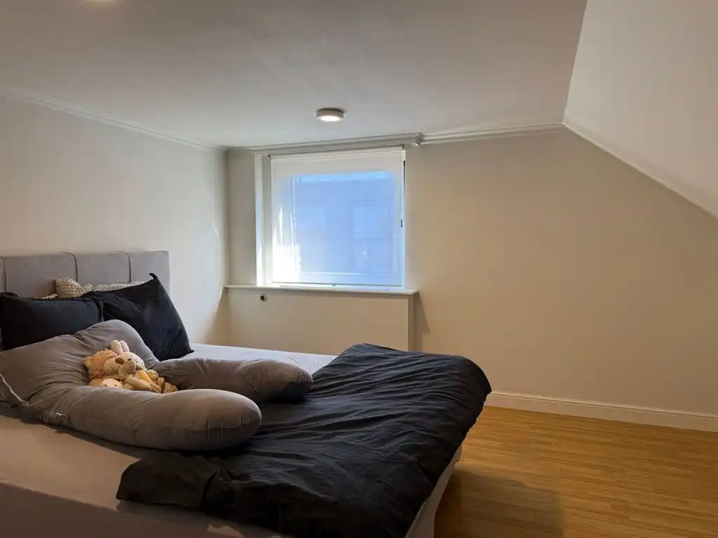 Duplex/triplex foto 9
