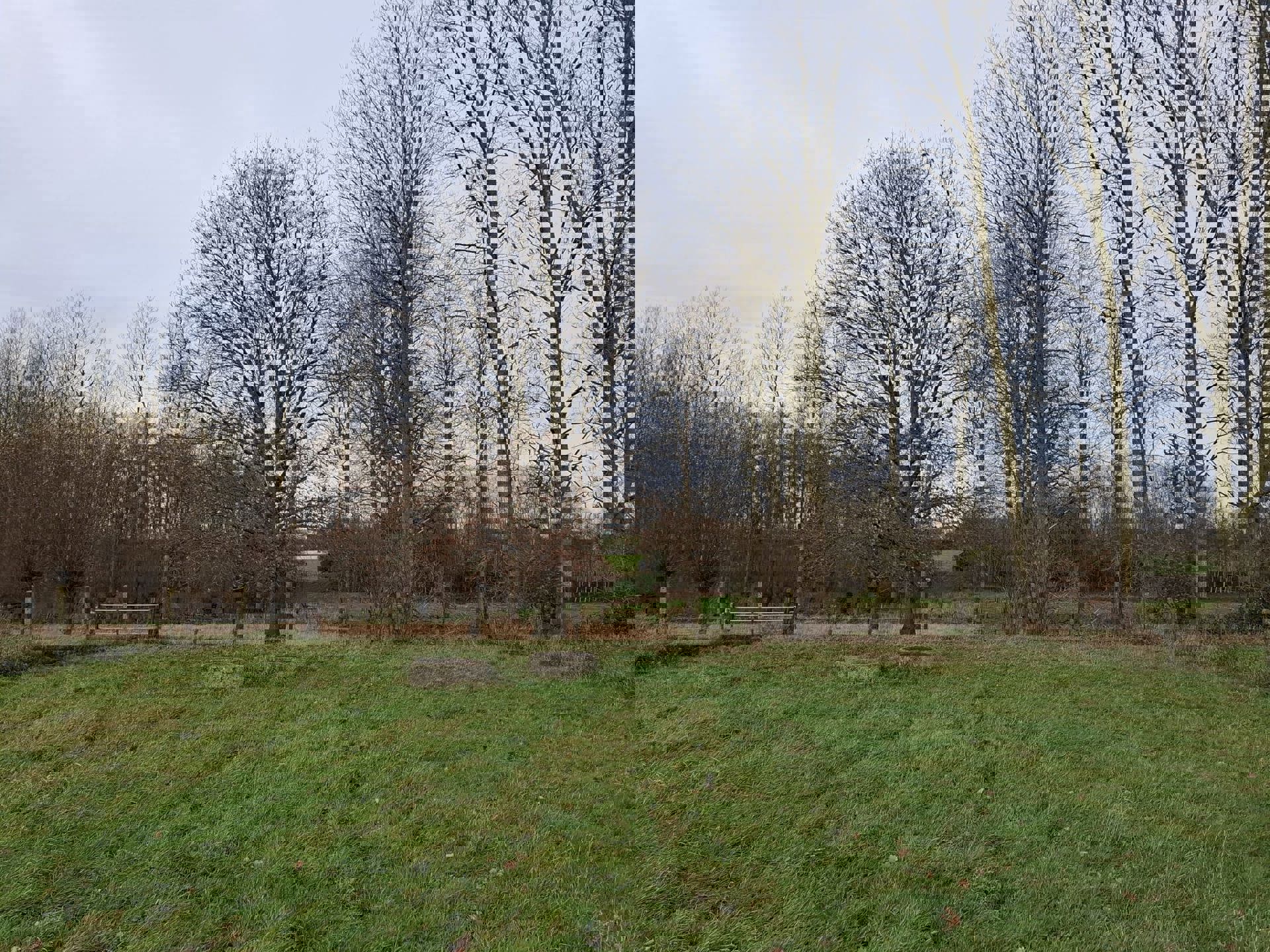 DENDERHOUTEM– Perceel weiland van 29a 50ca foto 9