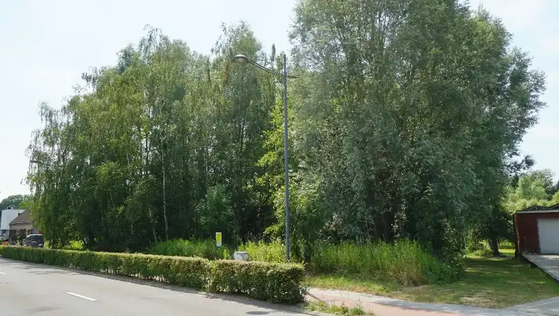 Bouwgrond 8 are 80 ca open bebouwing vlakbij centrum met mooi achterzicht op groene omgeving foto 2