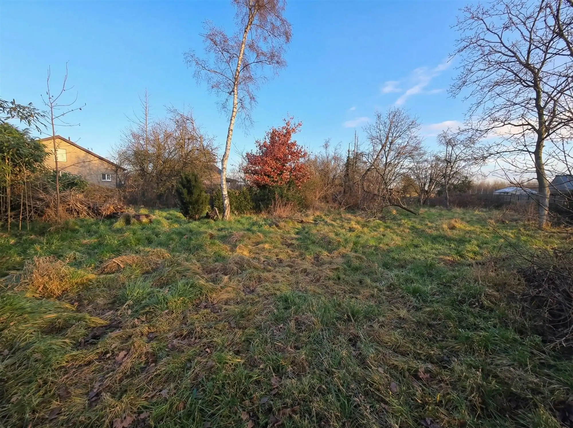 Top gelegen bouwperceel van 990 m² met een breedte van 18 m. foto 6