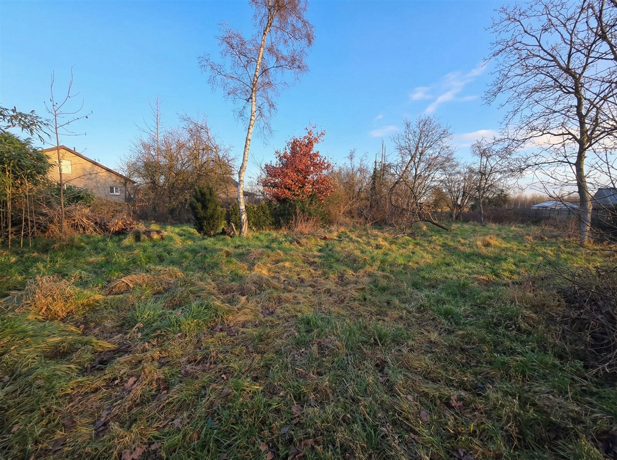 Top gelegen bouwperceel van 990 m² met een breedte van 18 m. foto 6