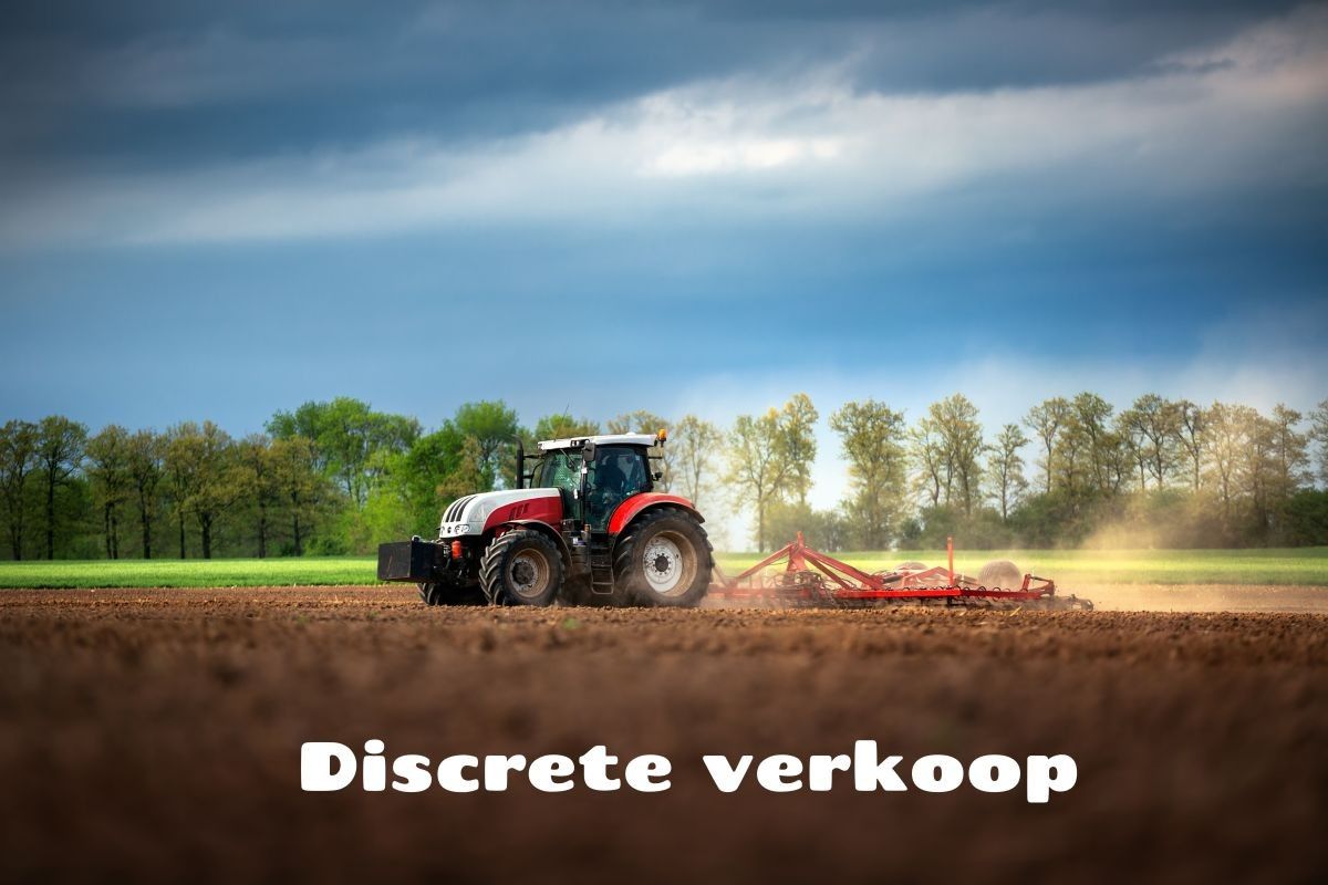 ()=>{if(producerUpdateValueVersion(node),producerAccessed(node),node.value===ERRORED)throw node.error;return node.value} 9990 Maldegem