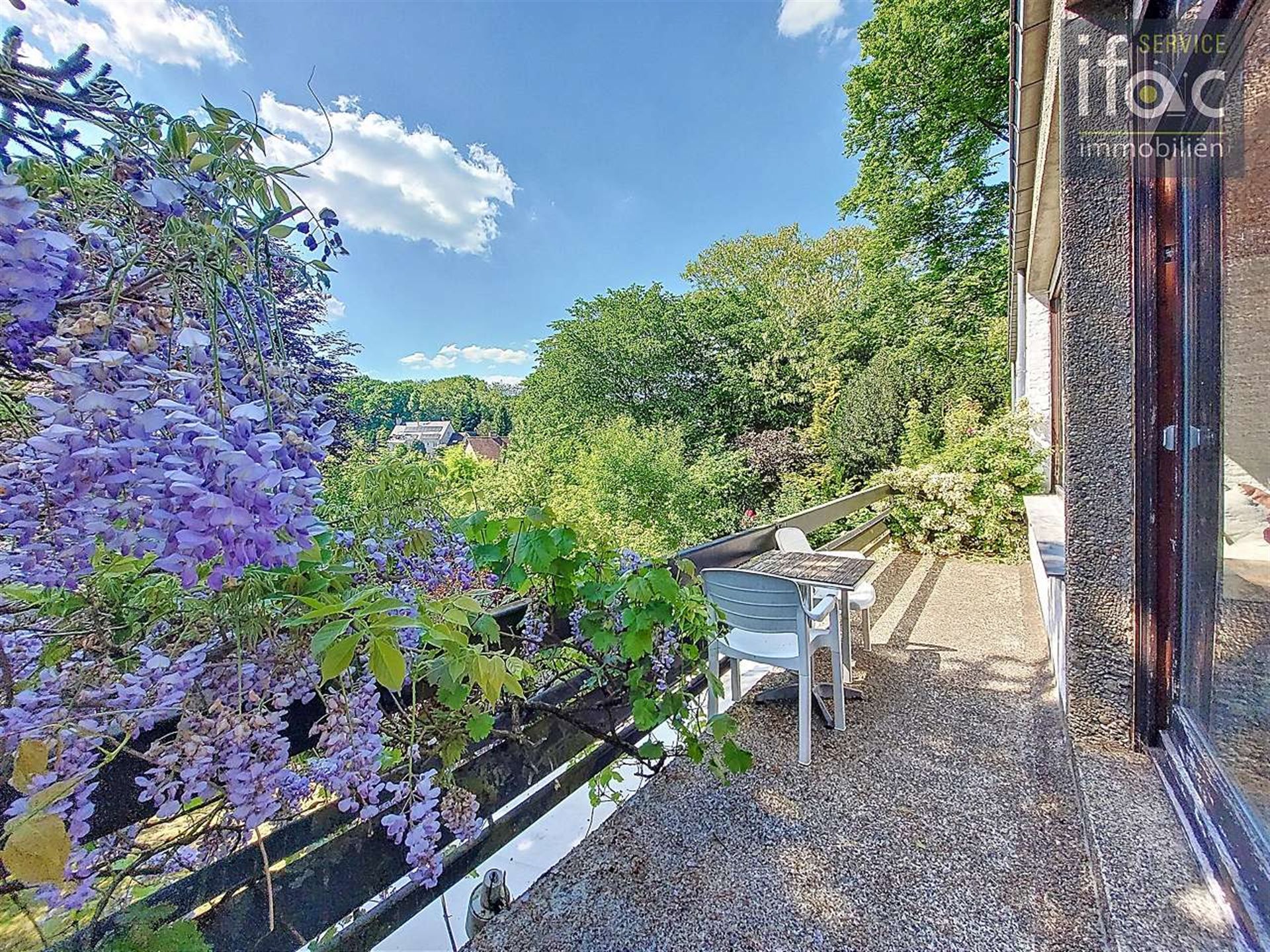 Zonovergoten te renoveren villa nabij Zoniënwoud foto 12