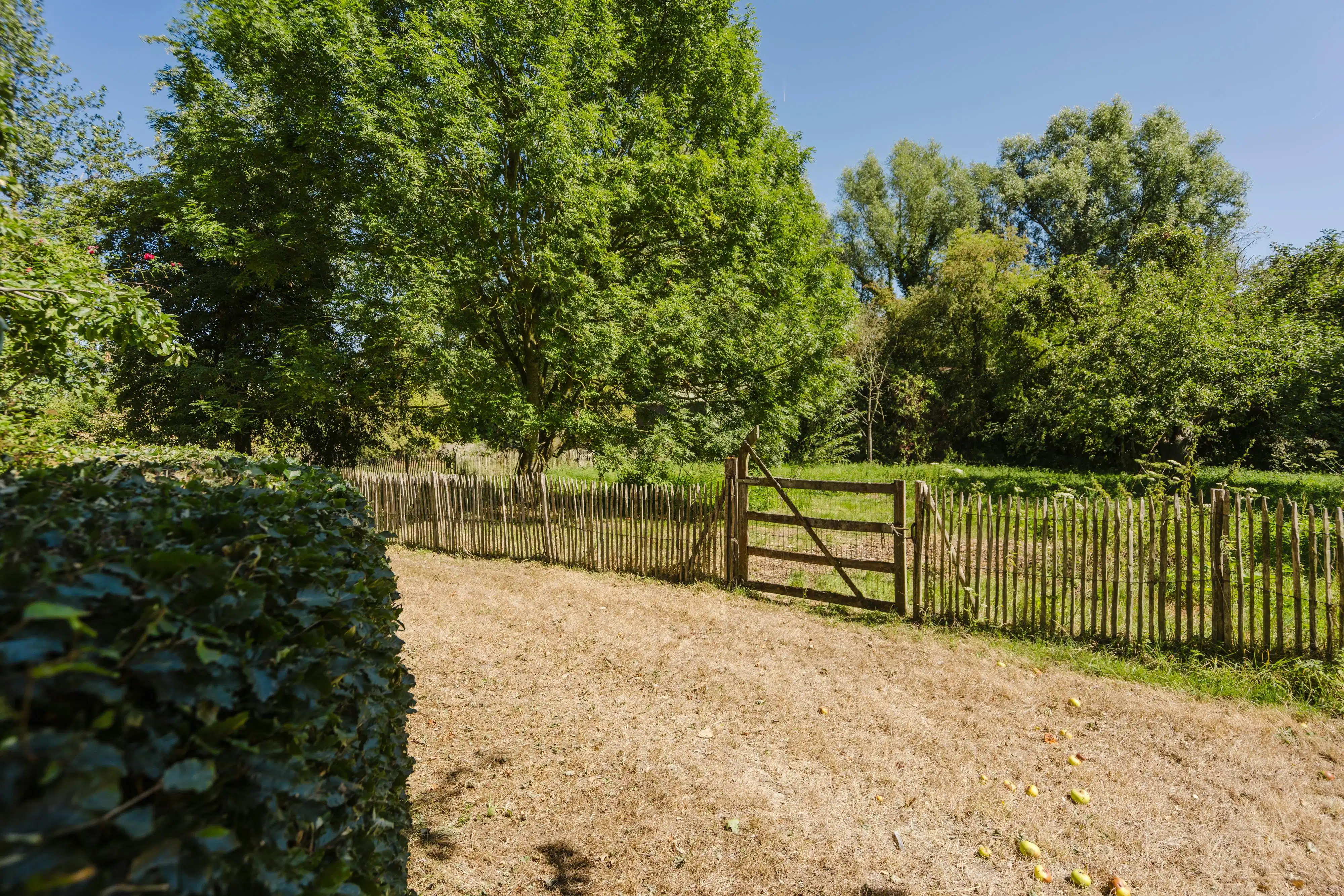 Charmante hoeve te koop in Brakel foto 18