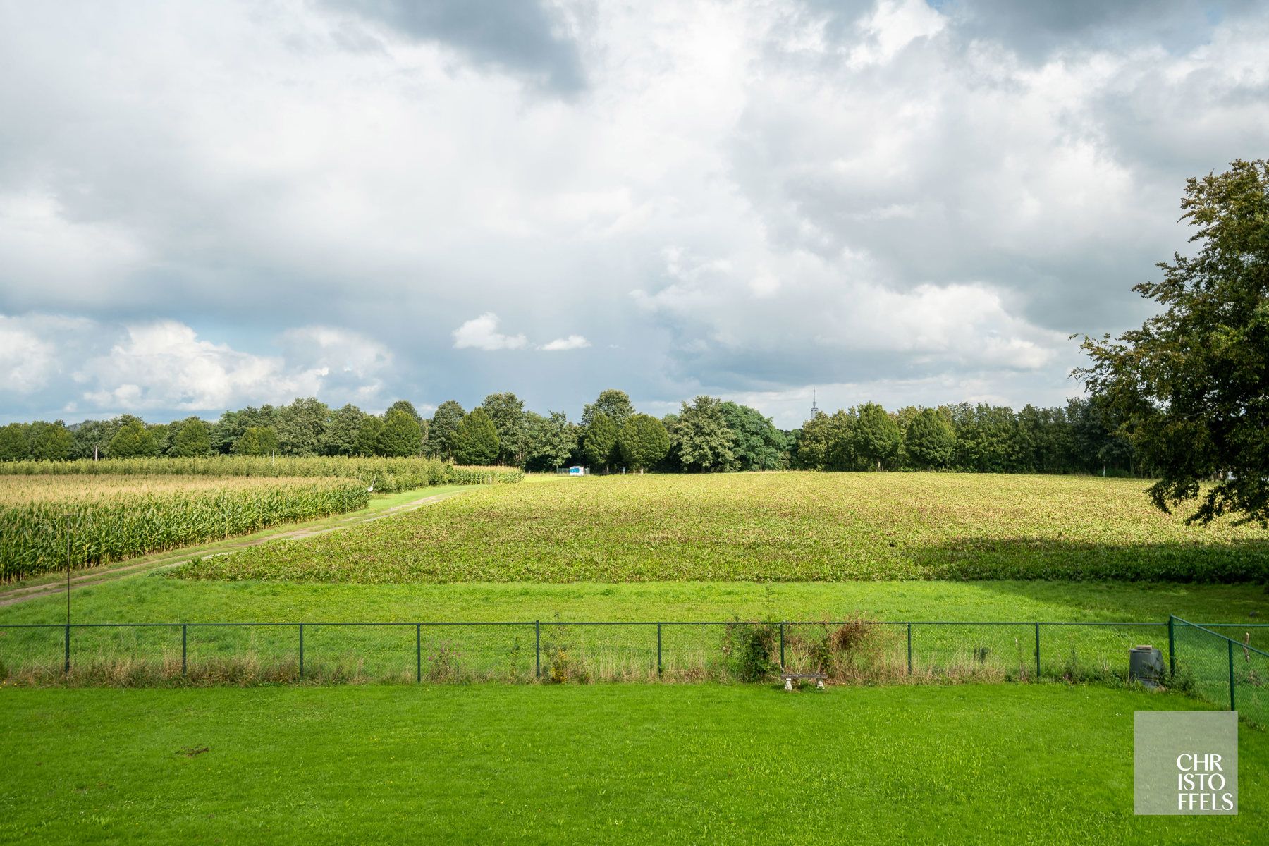 Opbrengsteigendom met vrij zicht aan de Nederlandse grens! foto 3