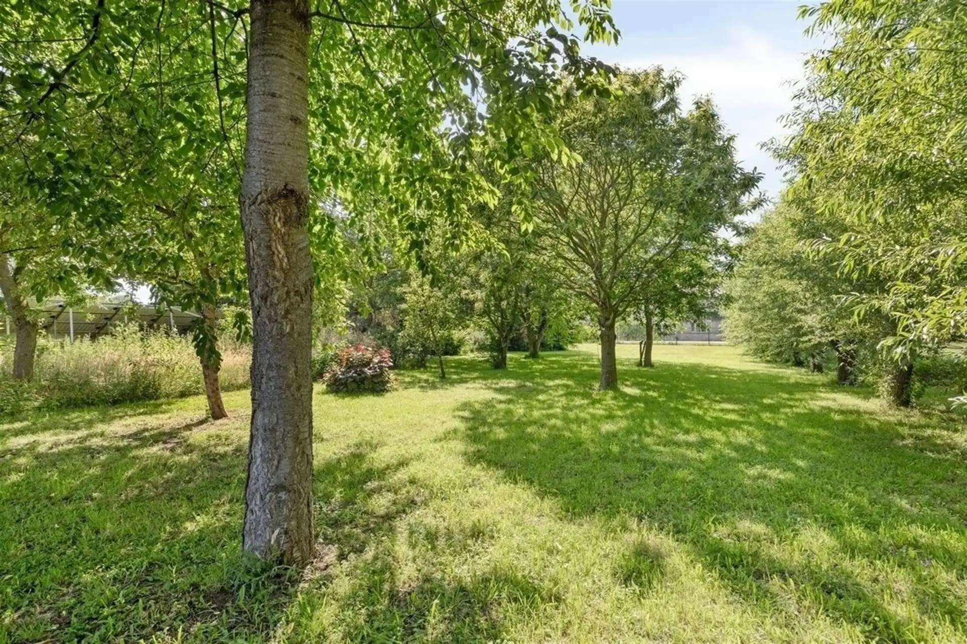 Instapklare villa met zwembad. Landelijke ligging in Leut. foto 4