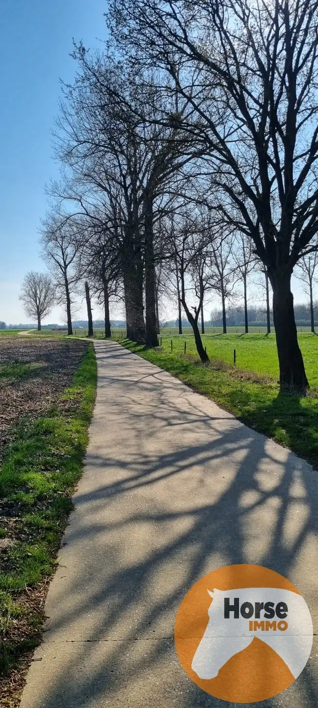 DIEPENBEEK - Unieke woning op +/- 52a foto 4