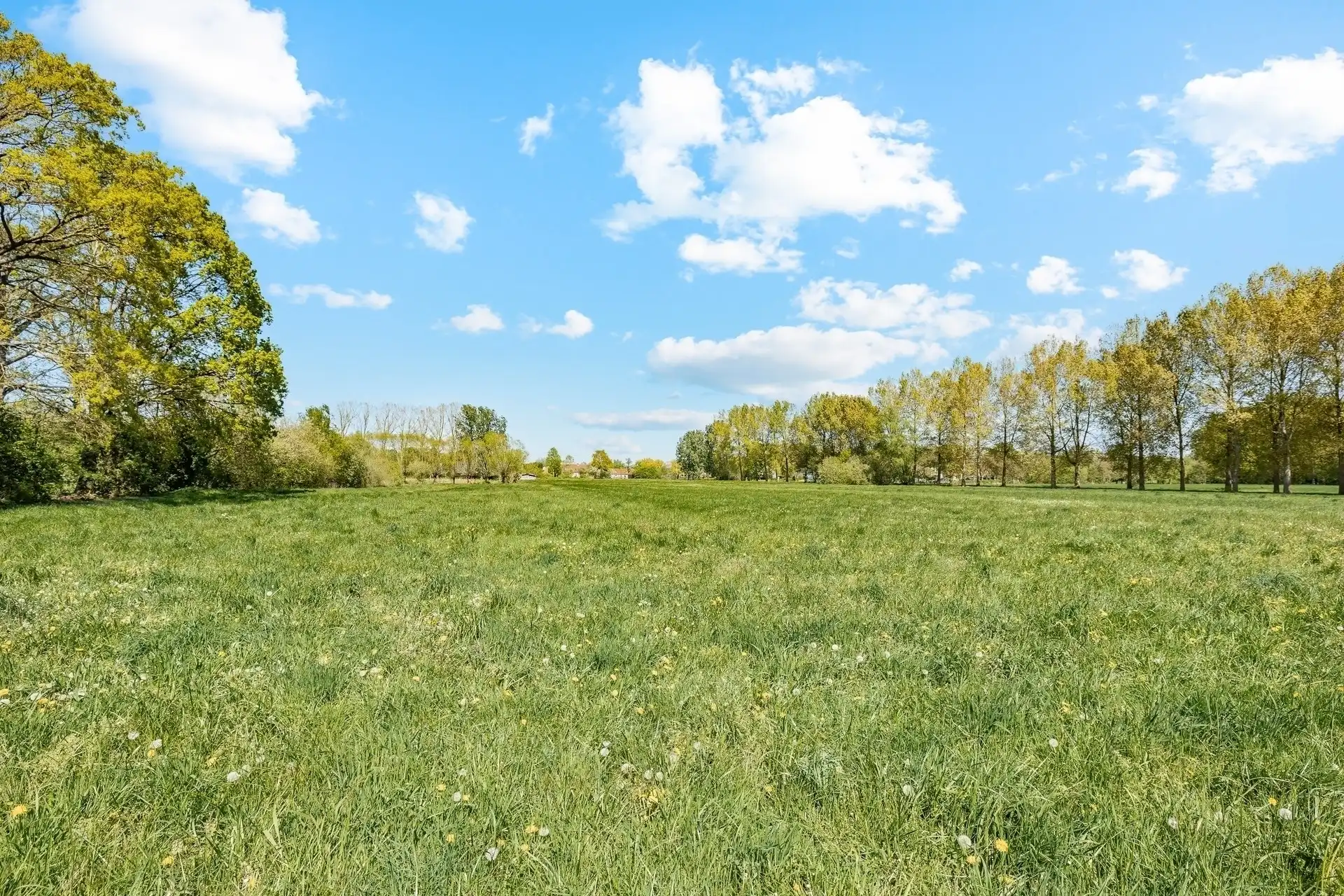 Top woning op prachtige groene locatie! foto 25