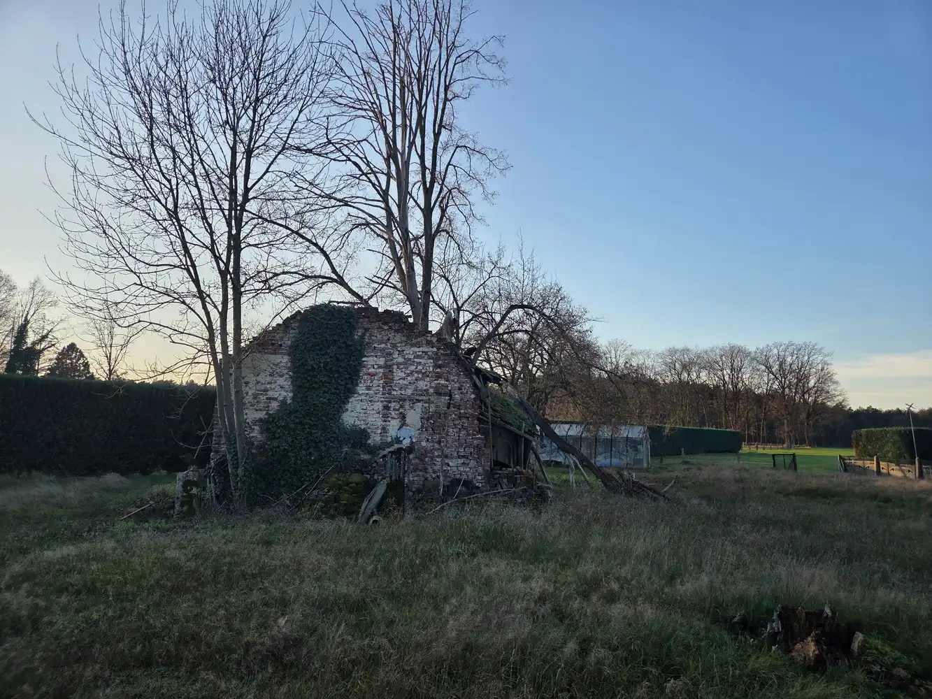 Mooie bouwgrond met prachtig uitzicht te Hechtel-Eksel foto 7