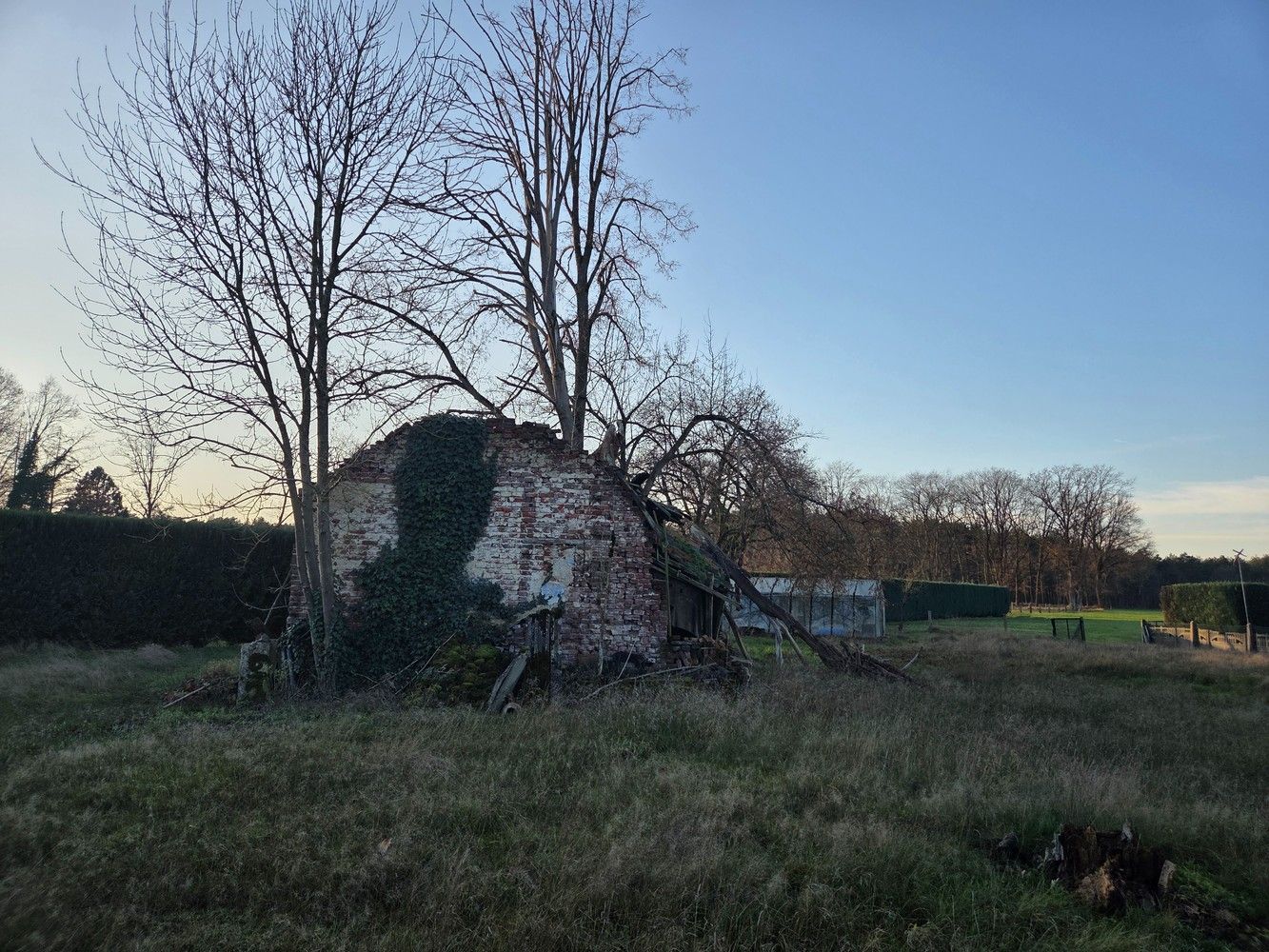 Mooie bouwgrond met prachtig uitzicht te Hechtel-Eksel foto 7