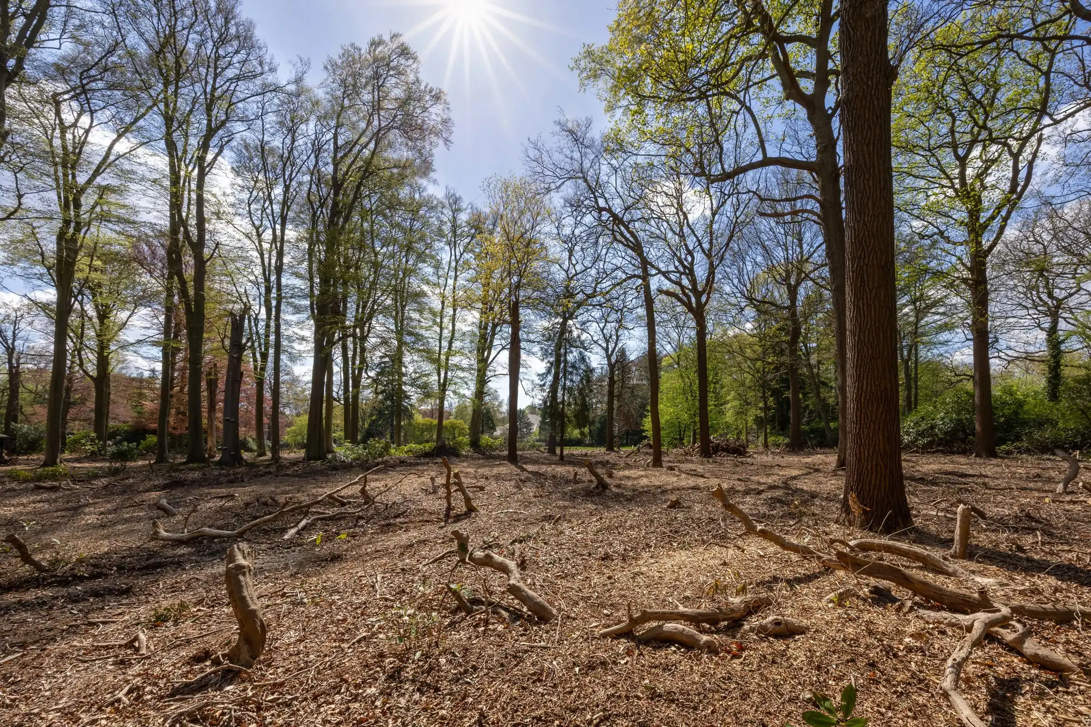 Exceptionele bouwgrond van 12.465 m² in Vriesdonk foto 19