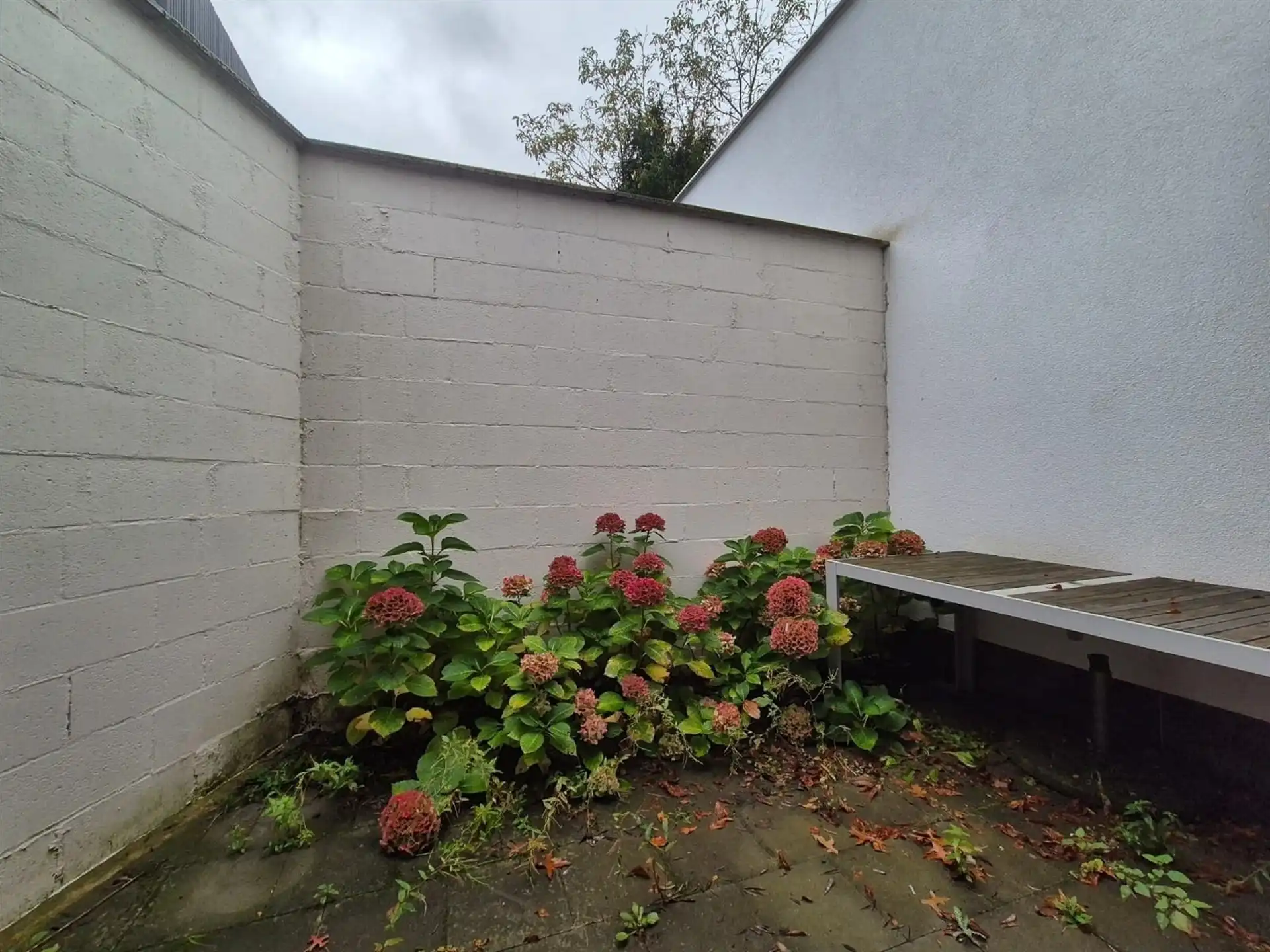 Gelijkvloerse kantoorruimte met kelder en terras. foto 20