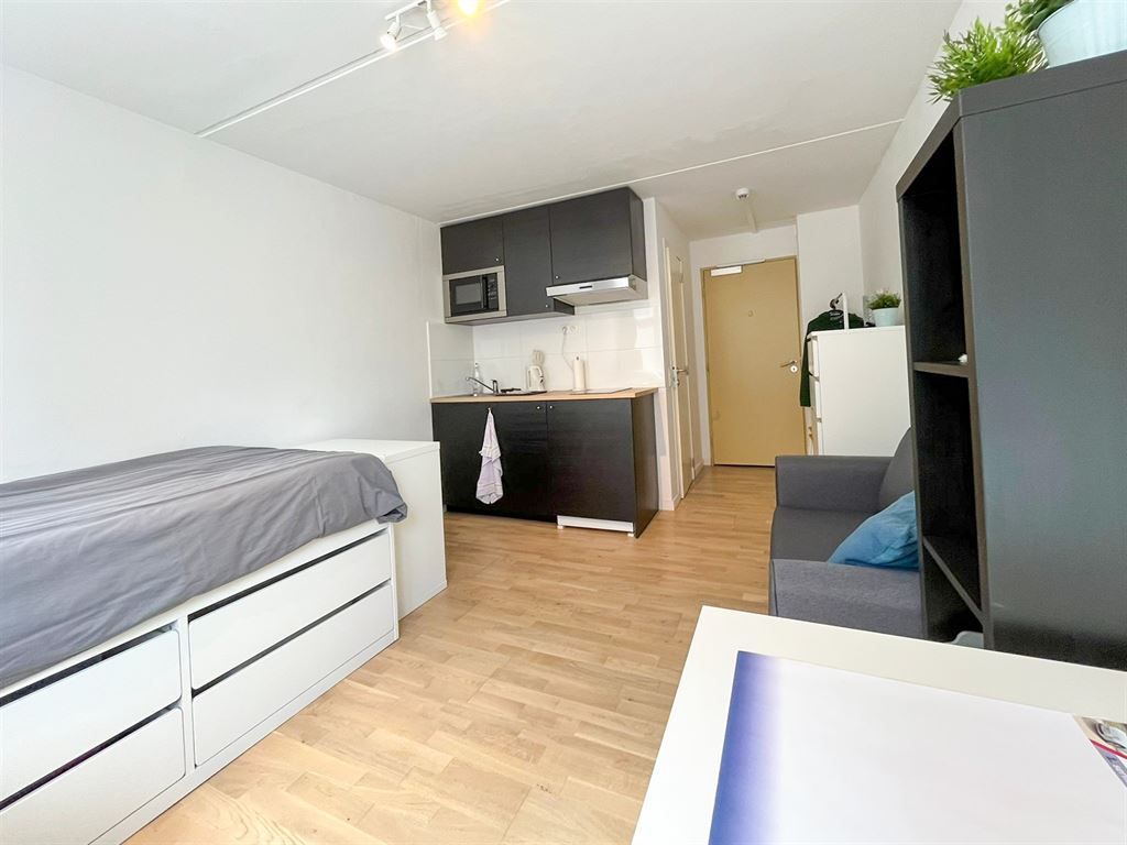 Gerenoveerde gelijkvloerse studio in hartje Leuven! foto 9
