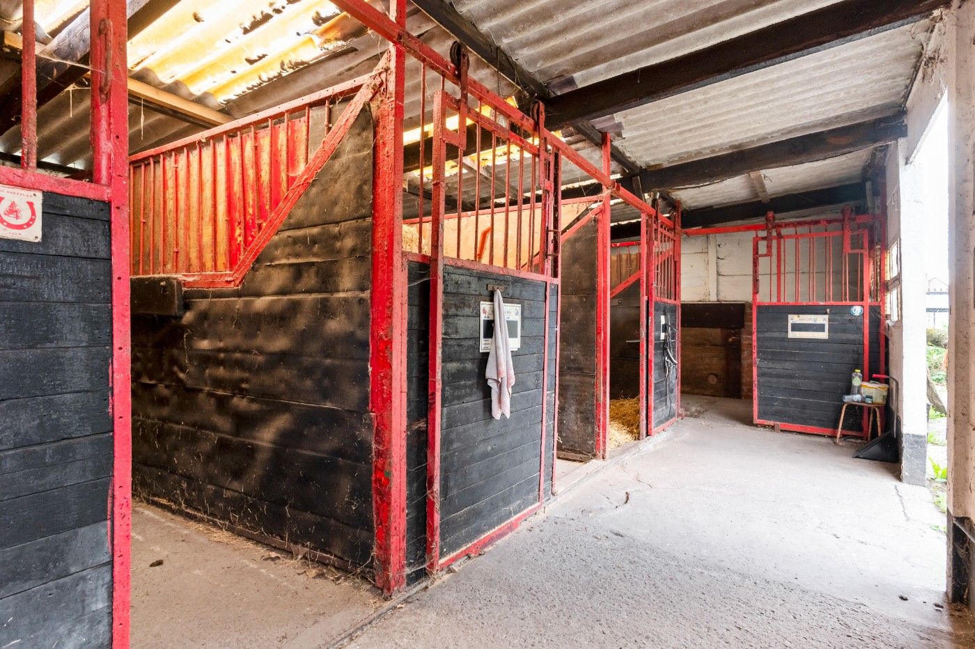 Recente, grote HOB met 4+ slpk., dubbele garage, weide en stallen foto 27