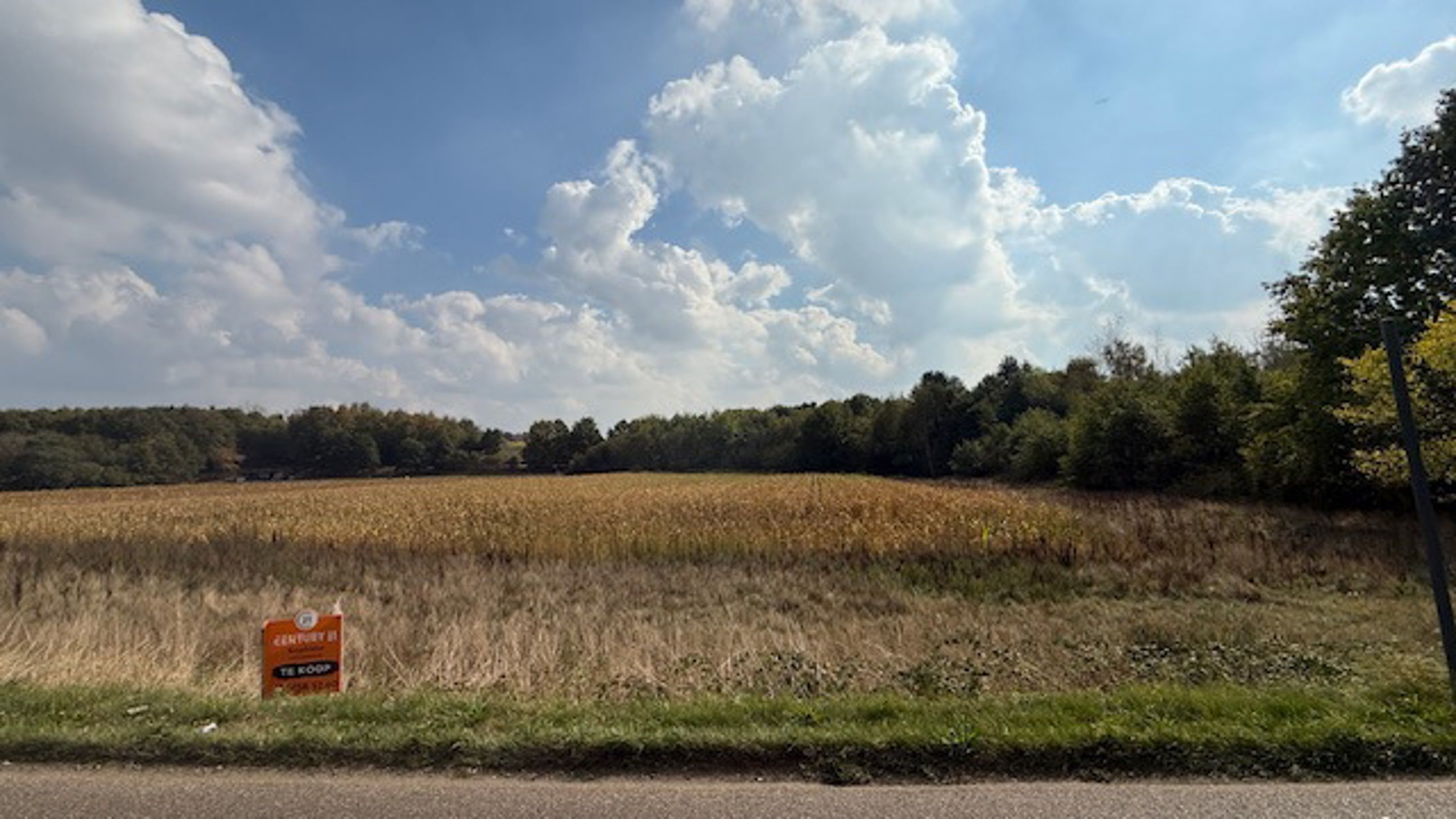 Landbouwgrond op prachtige locatie foto {{pictureIndex}}