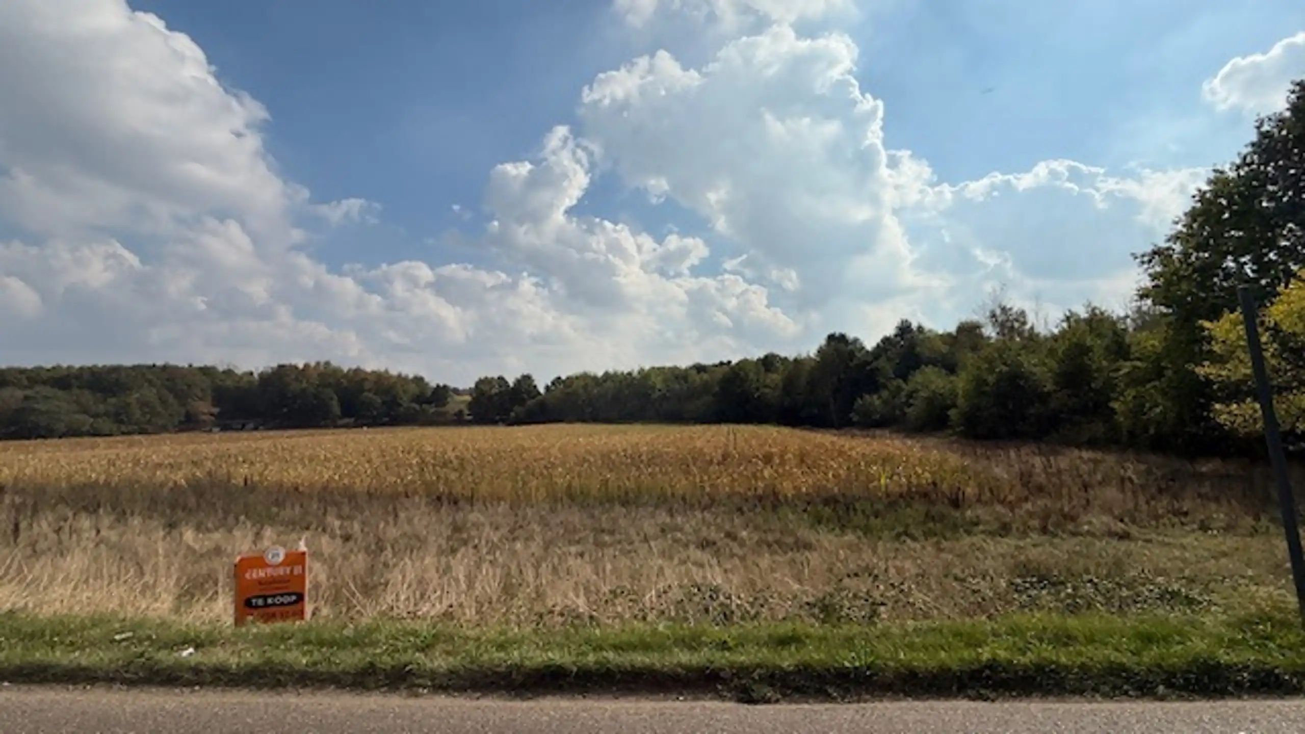 Landbouwgrond op prachtige locatie foto {{pictureIndex}}