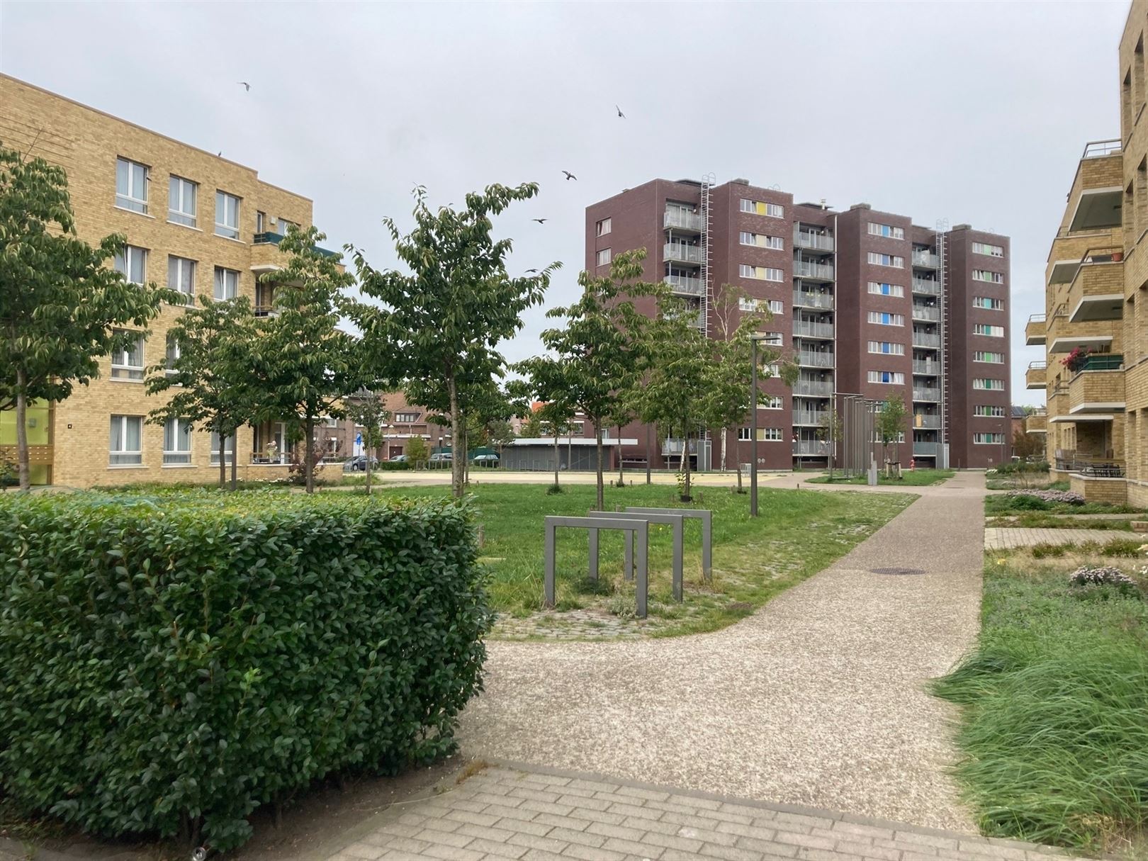 Hoekbuilding met drie units en twee garageboxen achteraan foto 46