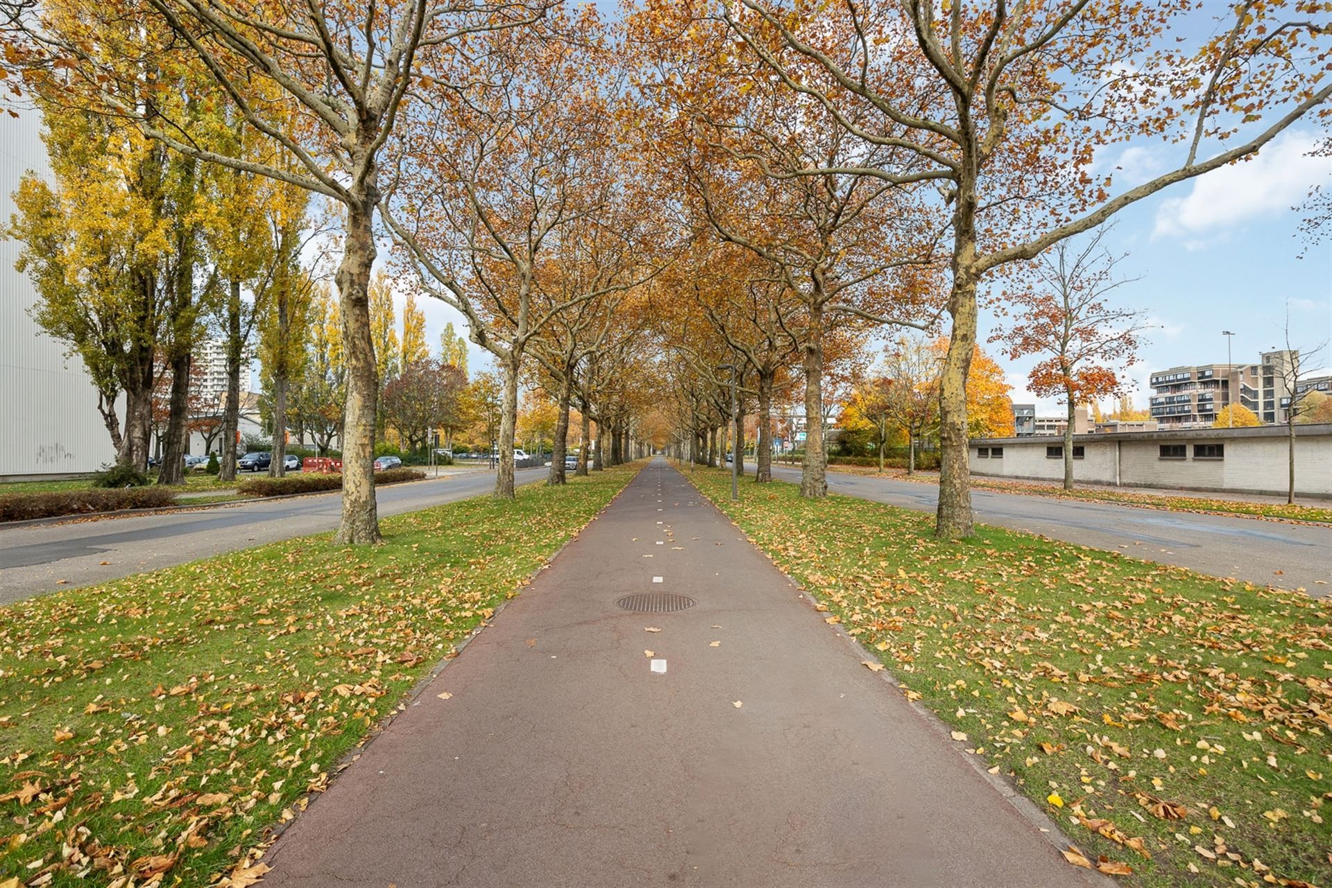 Licht en Energiezuinig Appartement met Uitzicht op Antwerpen foto 16