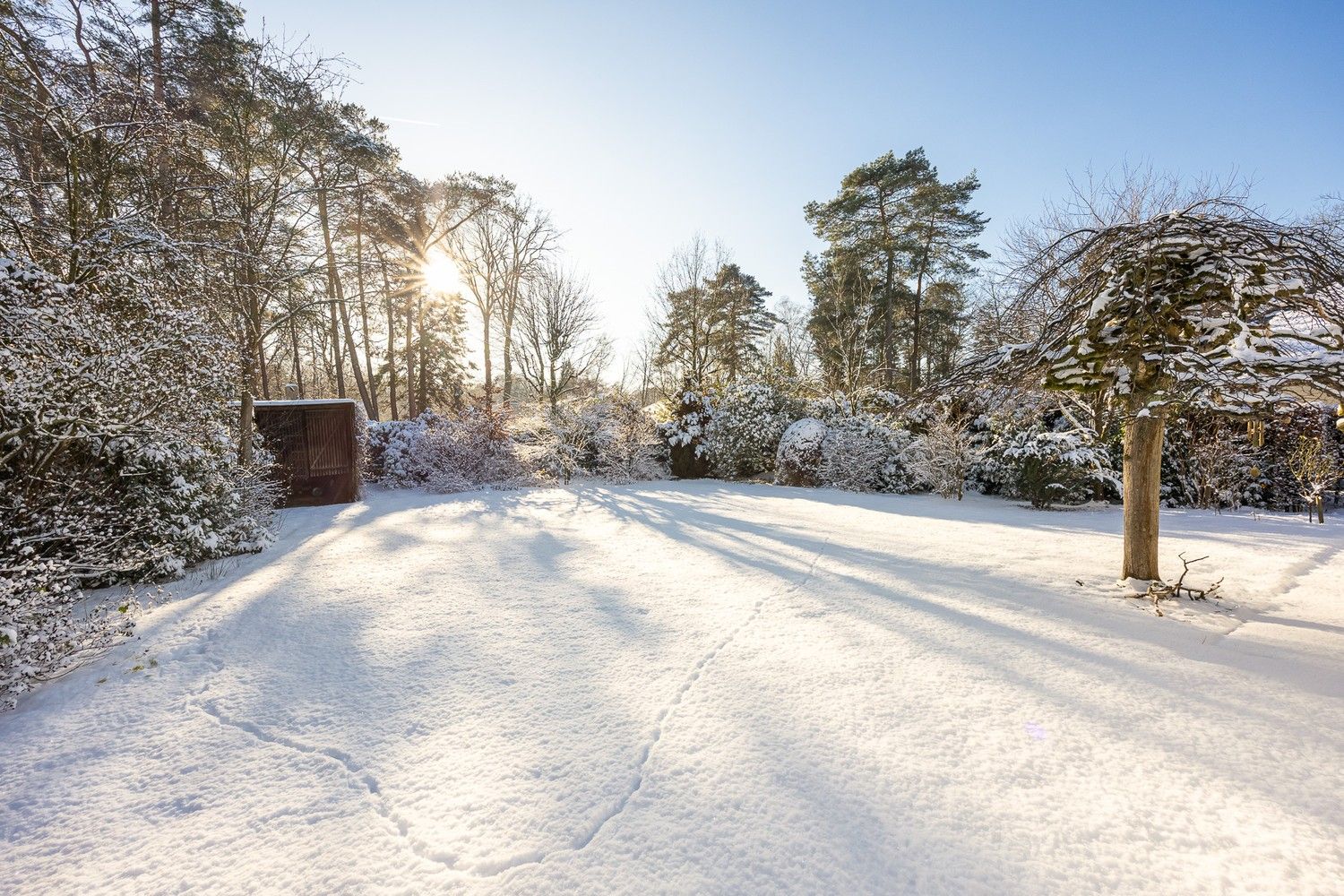 Te renoveren vrijstaande woning op zuid georiënteerd perceel te  ’s-Gravenwezel, wijk Zonnebos foto 3