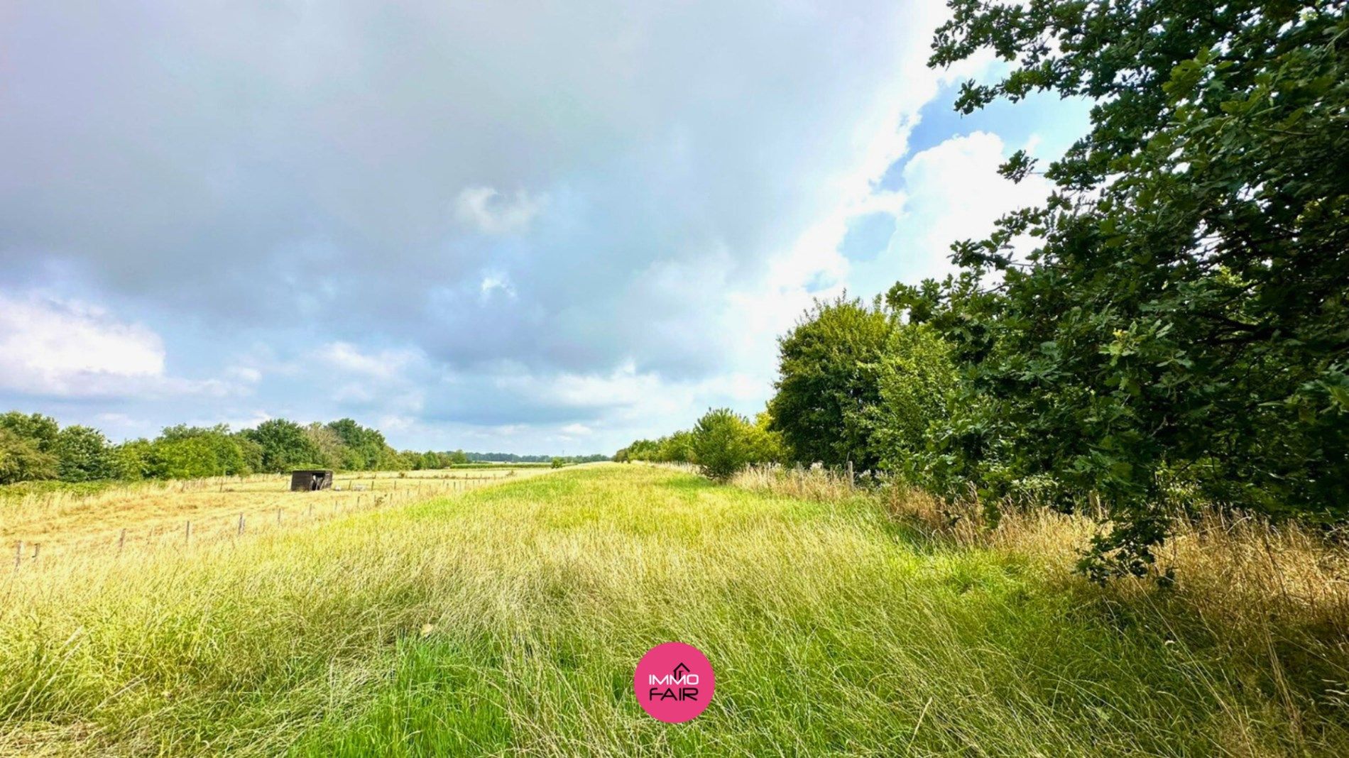 Bouwgrond met losstaand weiland in Veldwezelt op unieke locatie vlakbij Maastricht! foto 5