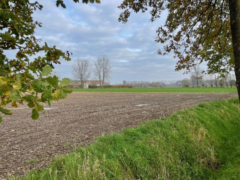 Prachtig gelegen perceel landbouwgrond 71515 m² foto 3