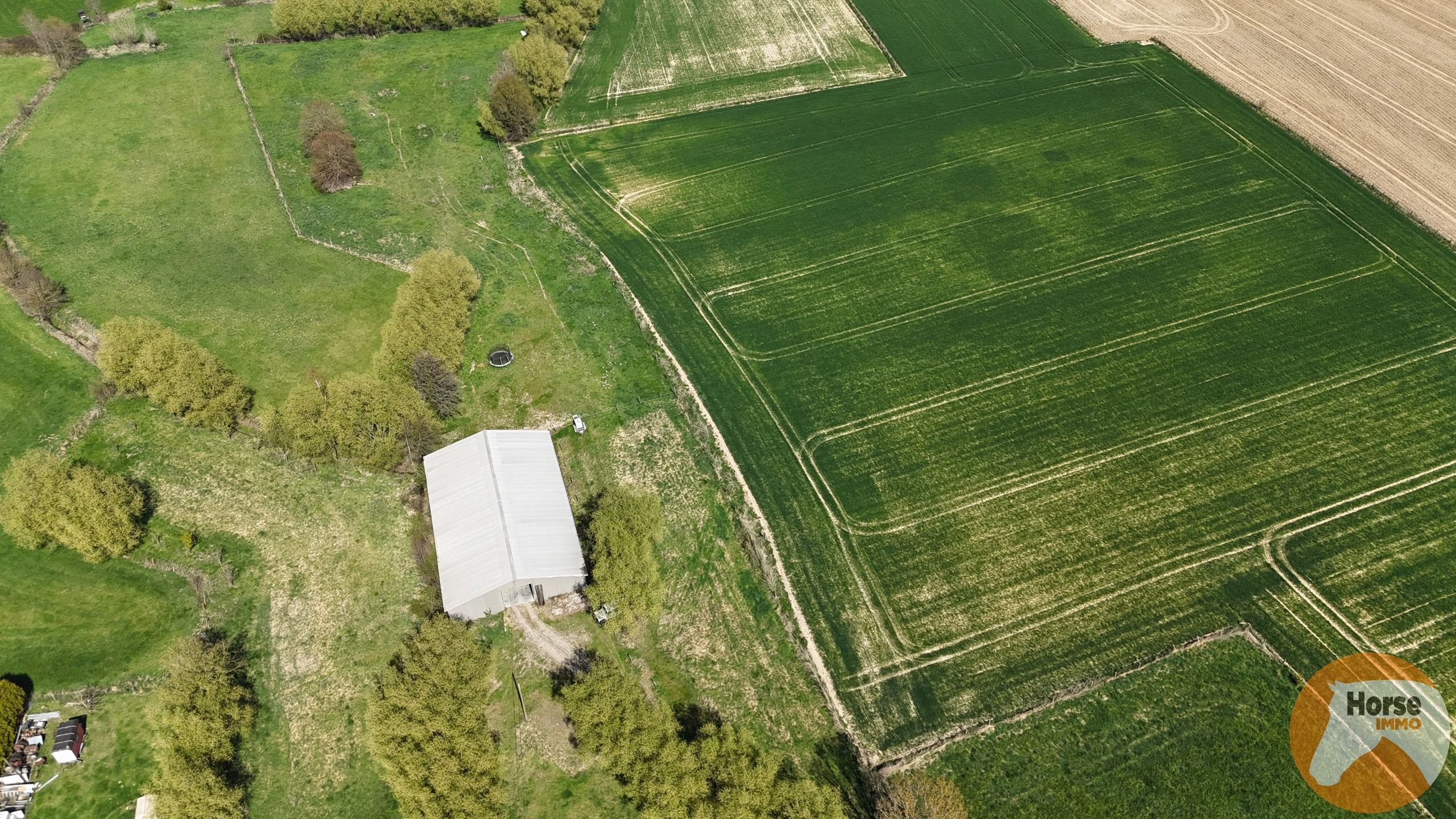TOLLEMBEEK - Weide met loods op rustige locatie foto 4