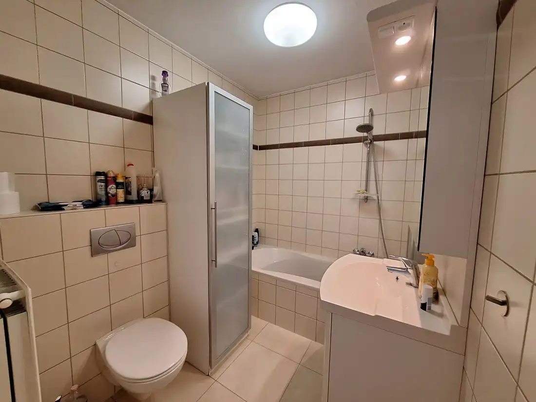 Penthouse aan de Beringse stadsrand foto 15