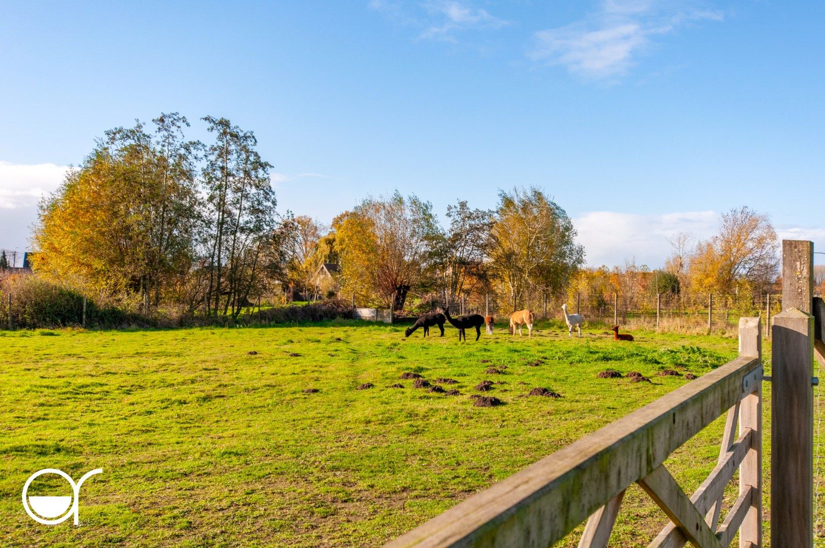 Unieke eigendom op slechts 3 min rijden van de afrit Nevele foto 29