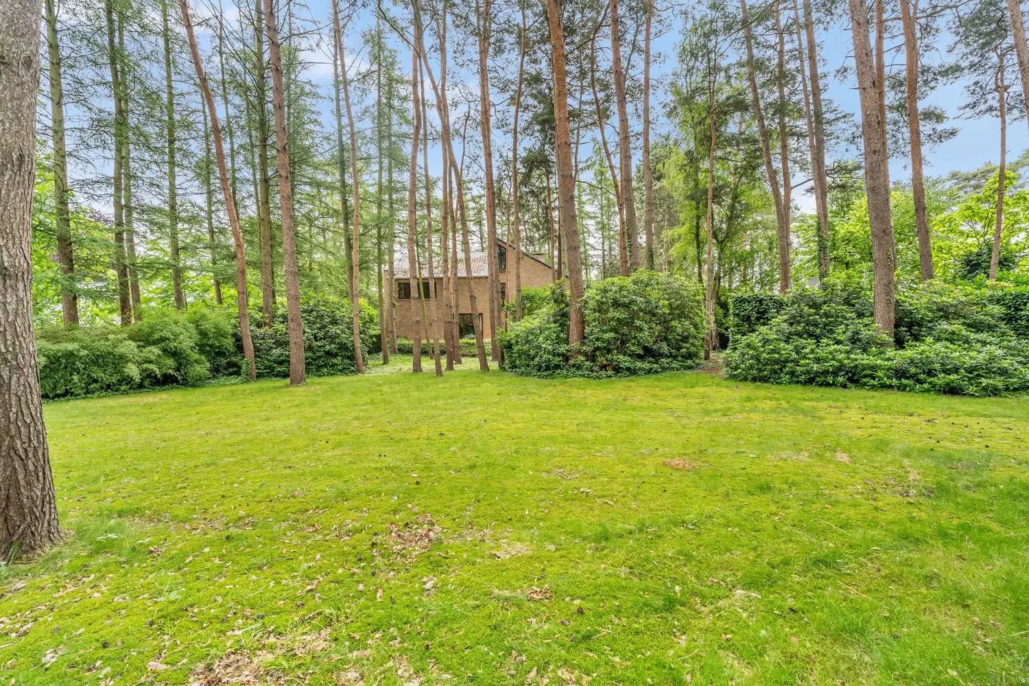 Ruime, te moderniseren villa met 5 slaapkamers en atelier op een perceel van 25 are 57 ca in het groen te (hoog) Linden ! foto 31