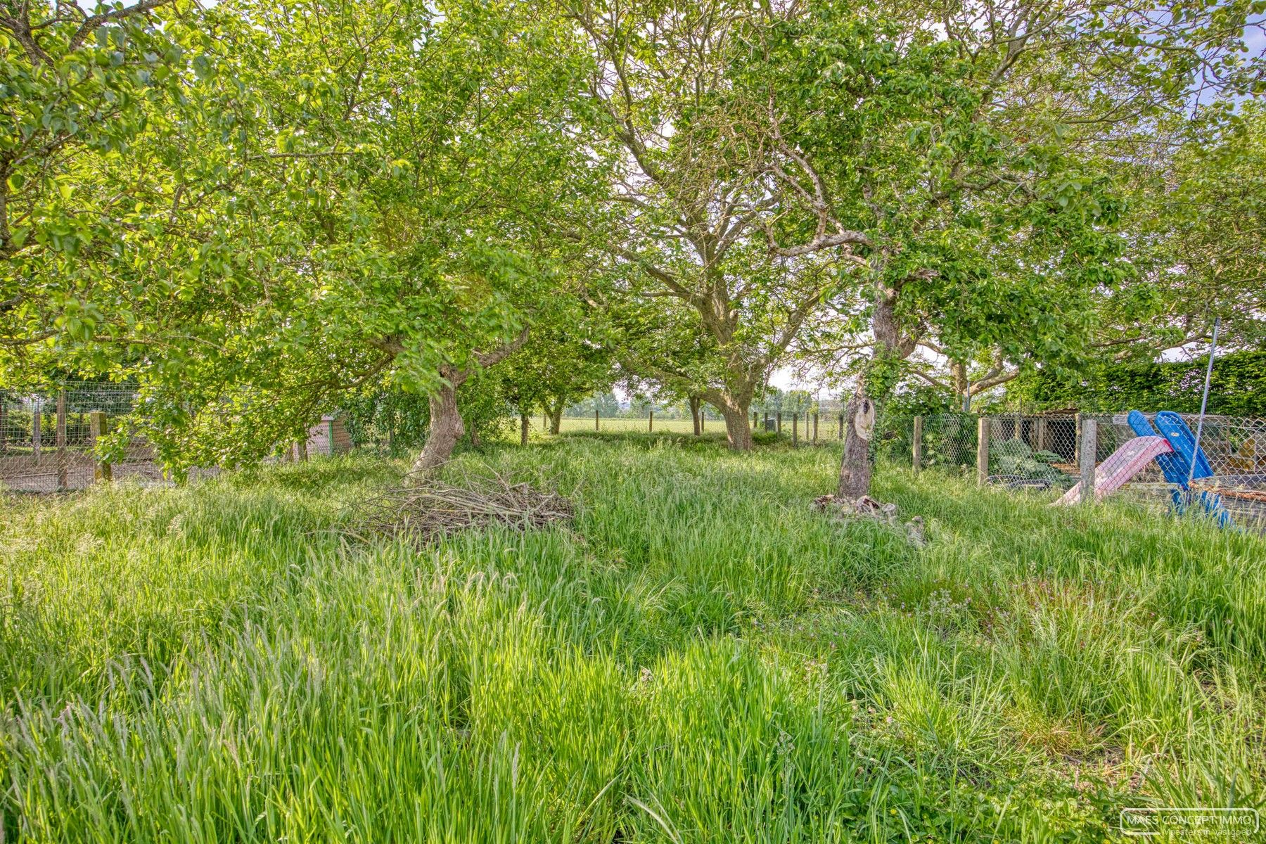 Te renoveren woning te koop te Anzegem op een perceel van 1000 m2 foto 16