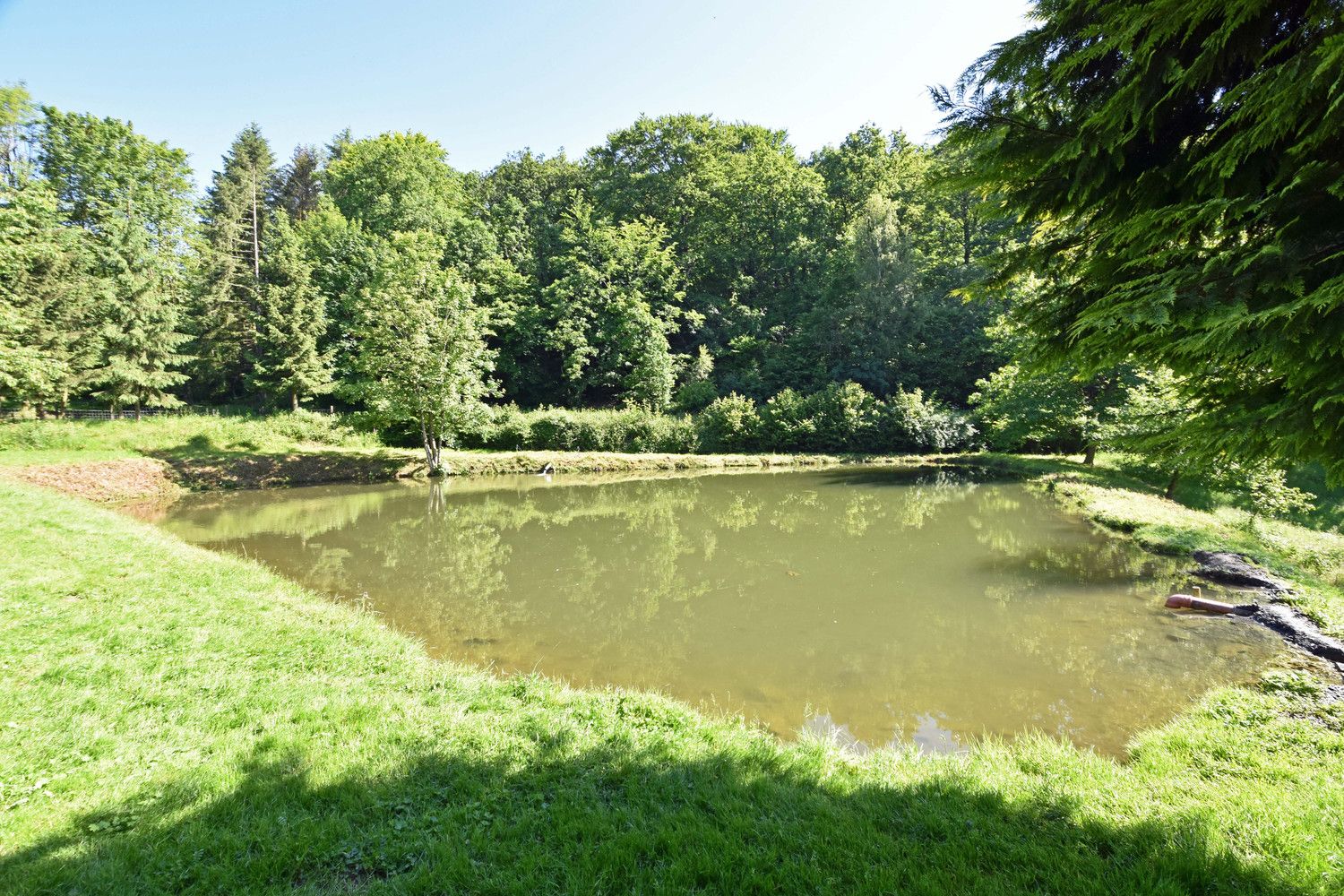 Ydillisch gelegen visvijer met 3 grote waterpartijen in de regio van Vresse-Sur-Semois! foto 7