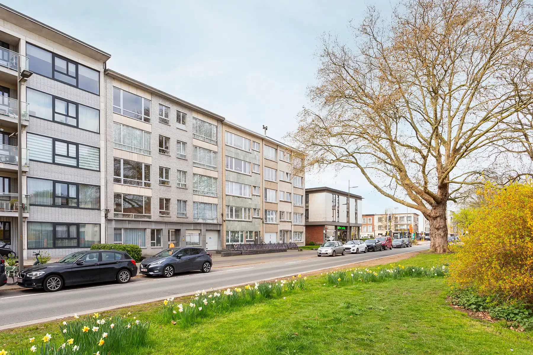 Wilrijk - Gerenov.  2 à 3 slaapkamer app. met terras + P  foto 19