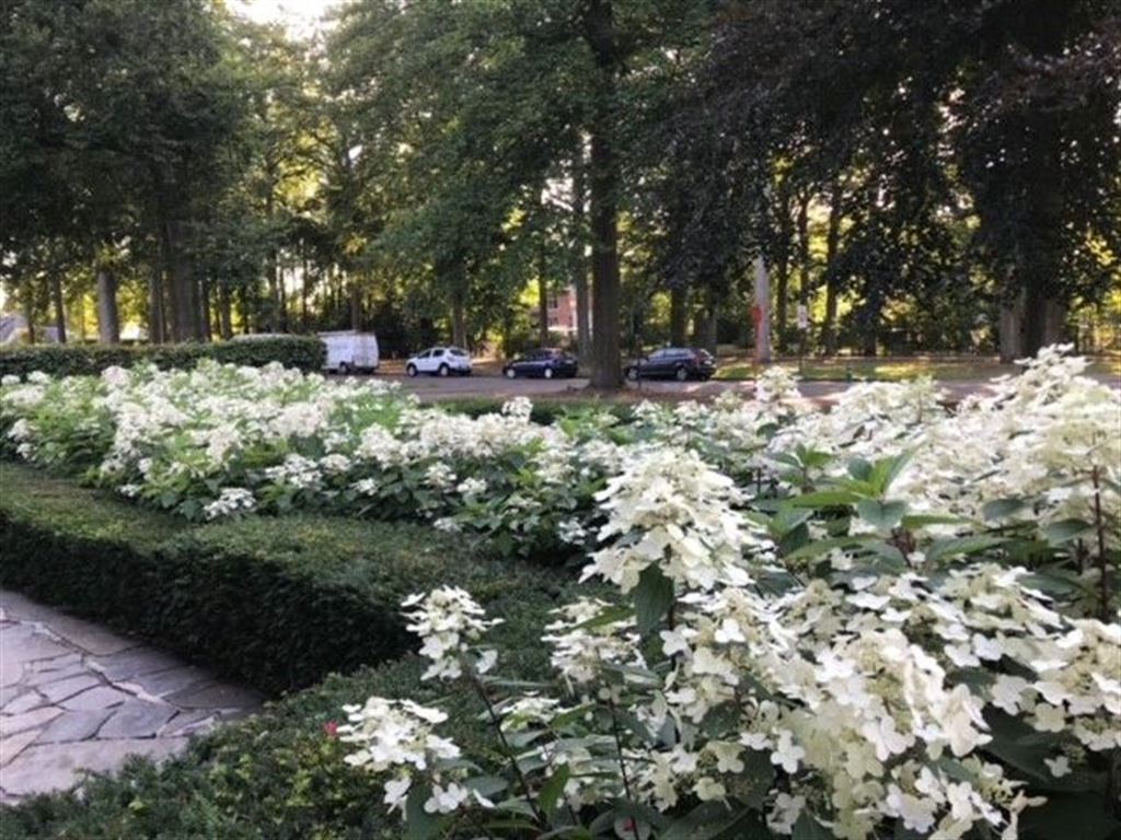 Zeer charmante woning. foto 21