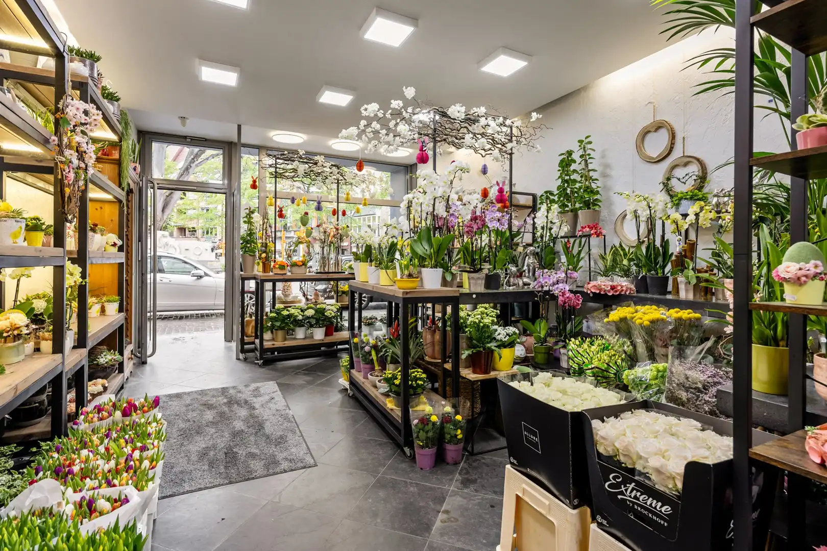 Handelspand met woonst in het centrum van Sint-Truiden. foto 2