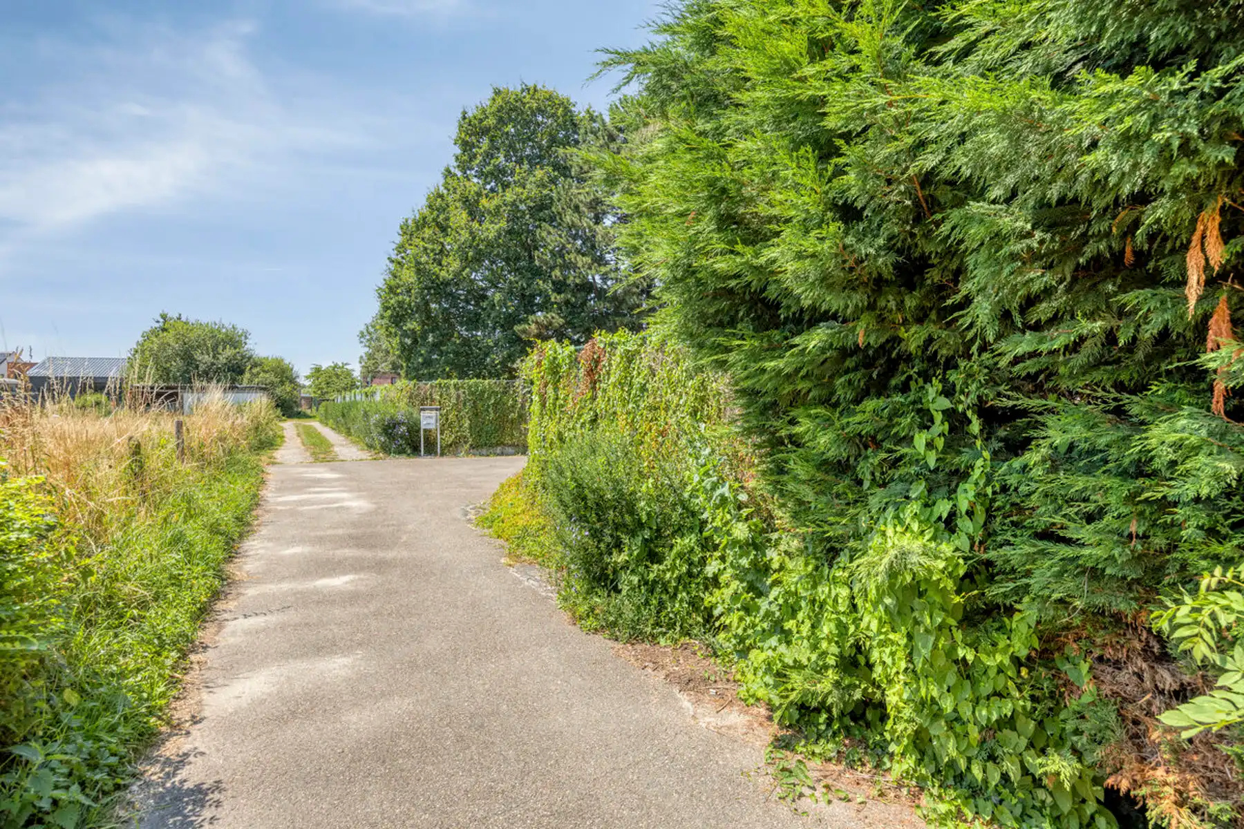 Te renoveren woning op uiterst rustige locatie foto 32