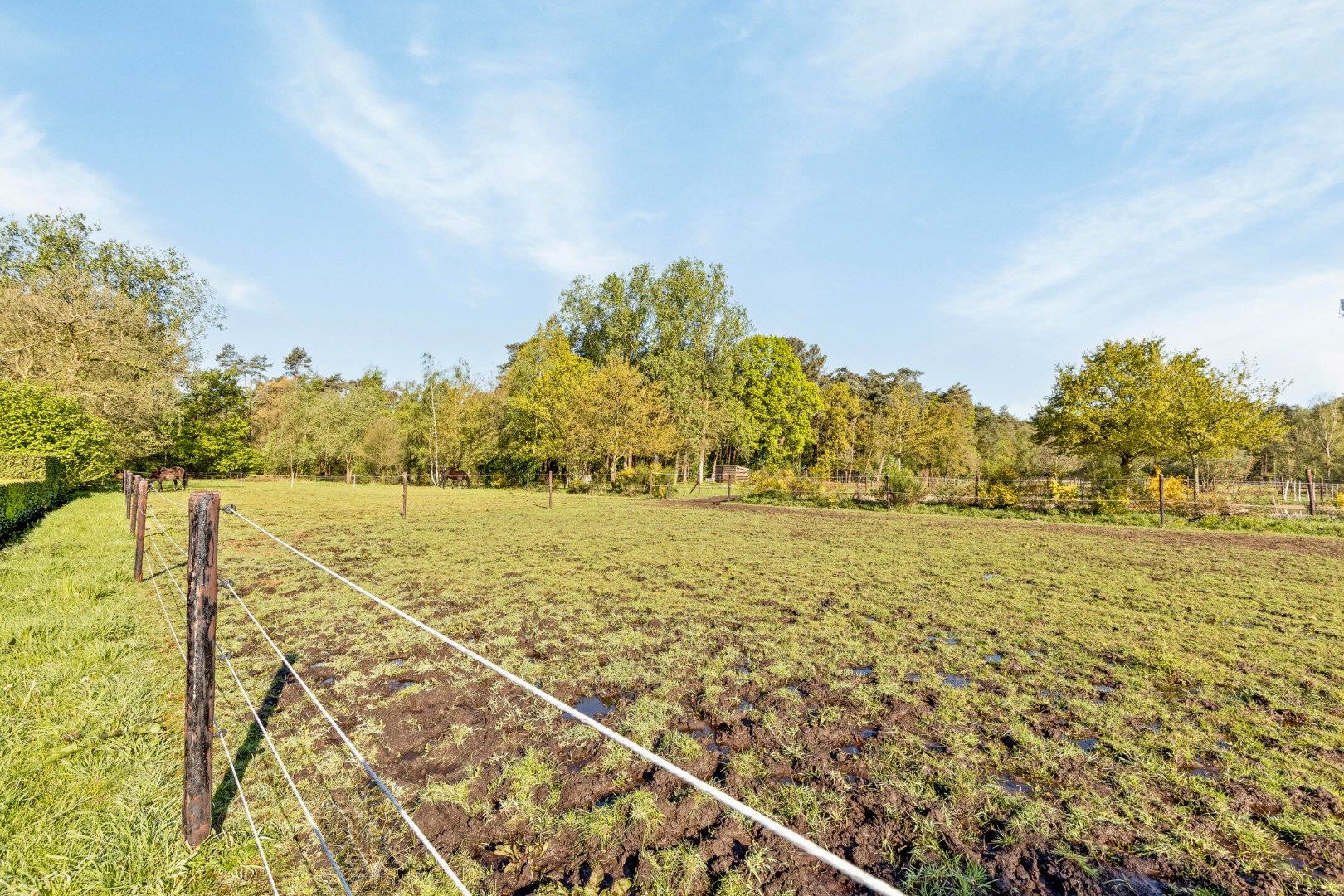 Ruim ingedeelde, goed onderhouden villa op een rustige locatie. foto 33