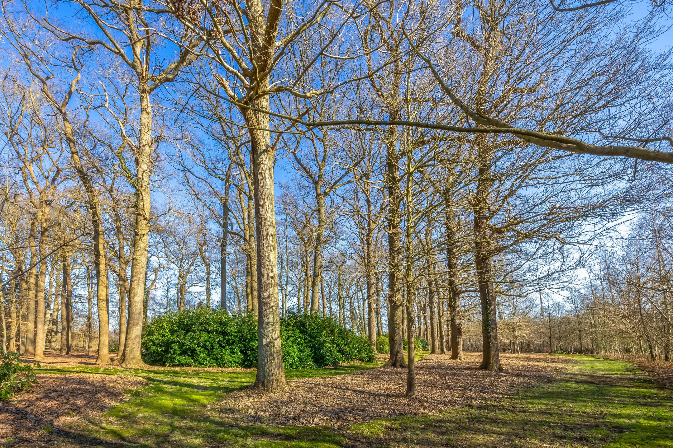 Exclusieve kasteelhoeve met zwembad op 2,7 ha grond, grenzend aan natuurgebied foto 36