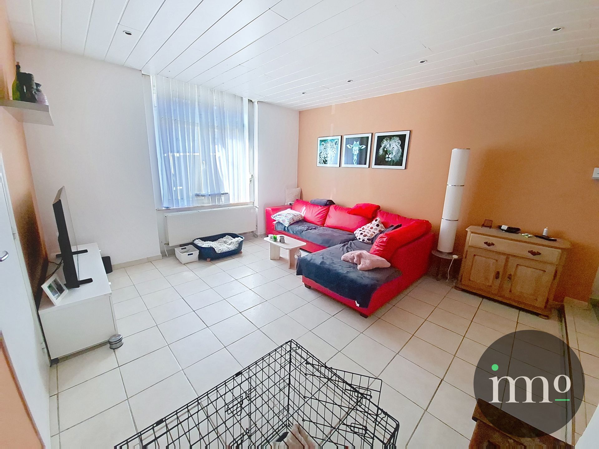 GELIJKVLOERS APPARTEMENT MET VEEL BUITENRUIMTE foto 2