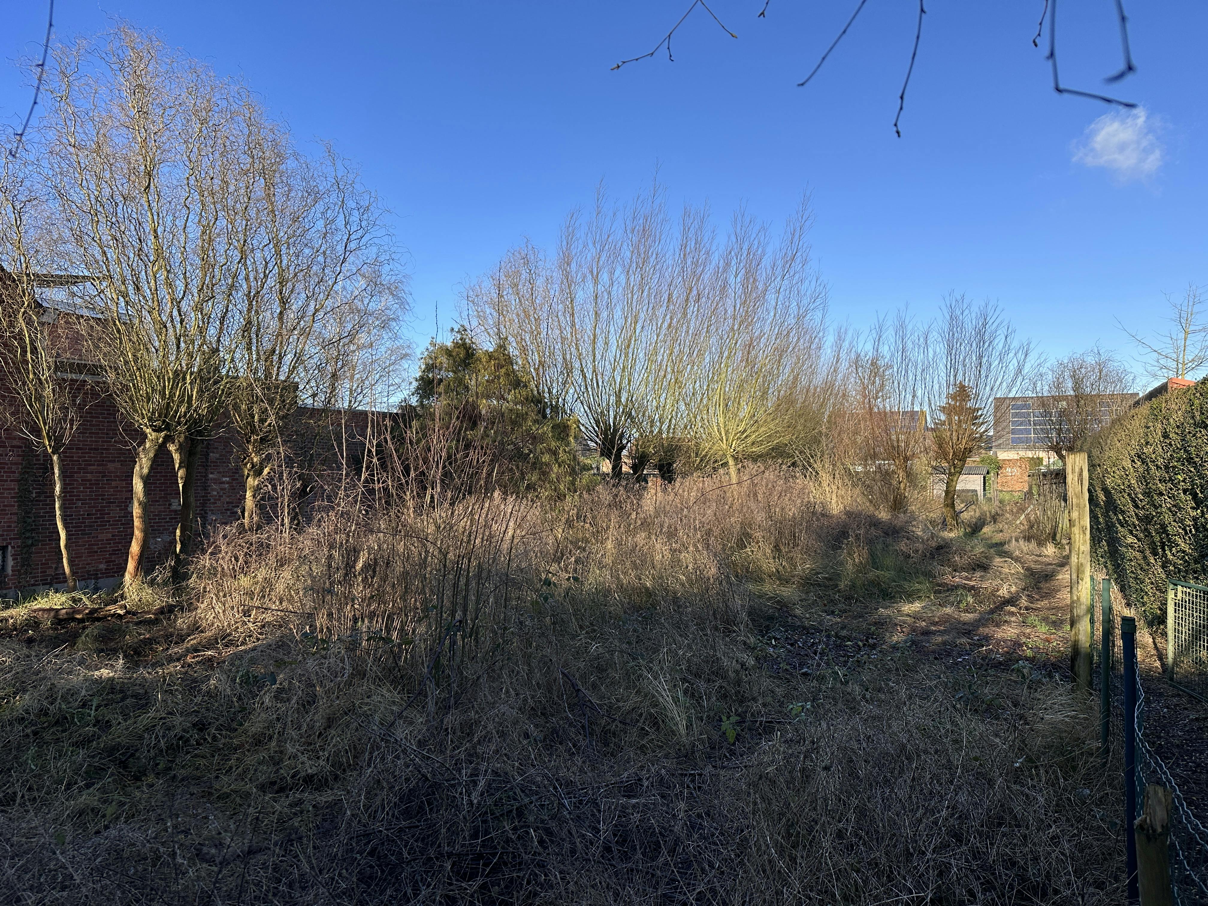 Grond +/- 941m² voor HOB te Kapellen, 15m perceelbreedte foto 9